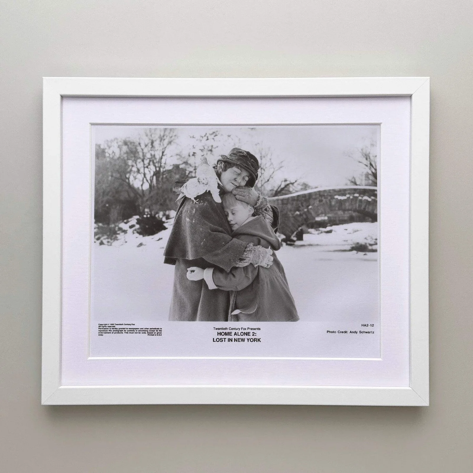 Home Alone 2 (1992) Press Publicity Still - Framed, image 3