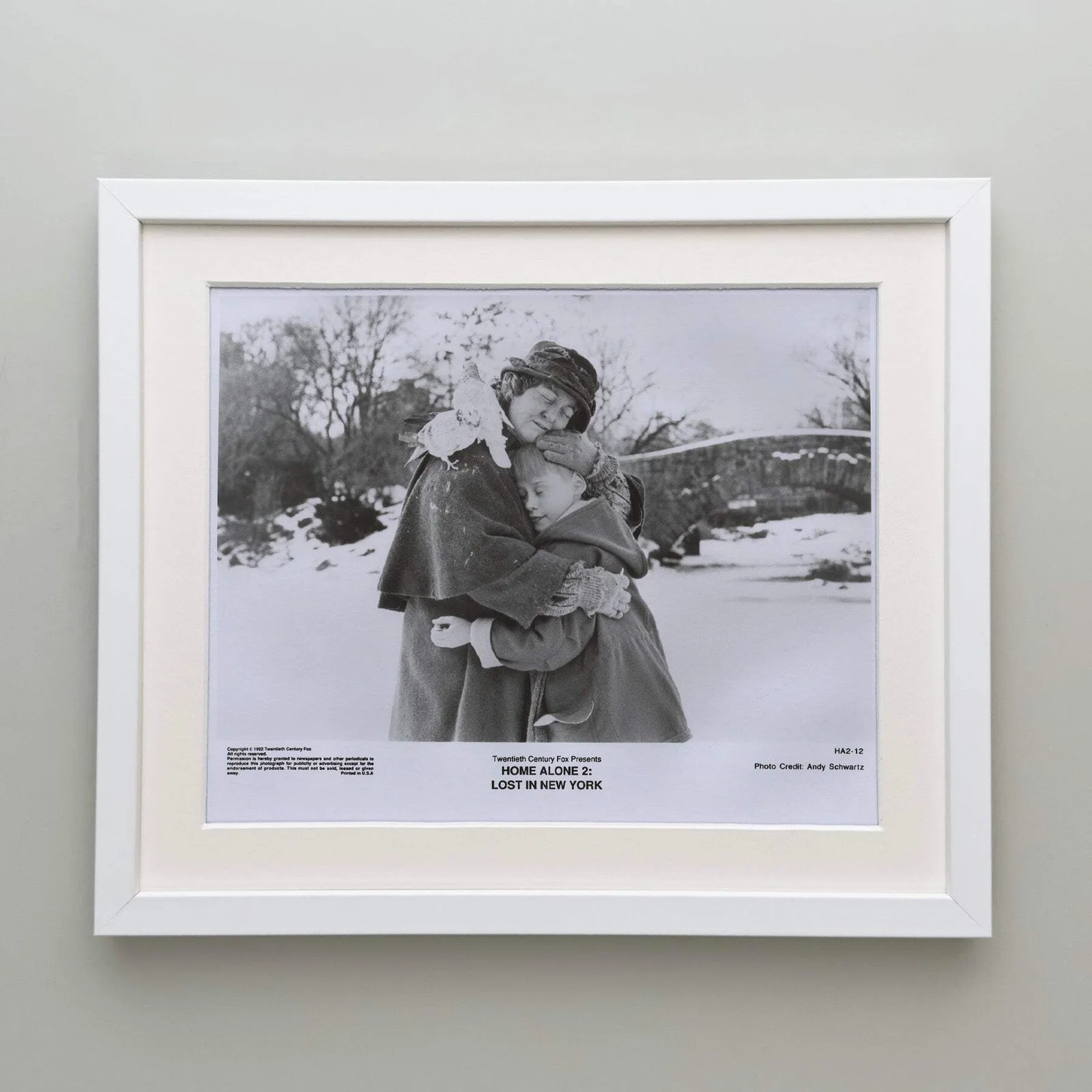 Home Alone 2 (1992) Press Publicity Still - Framed, image 4
