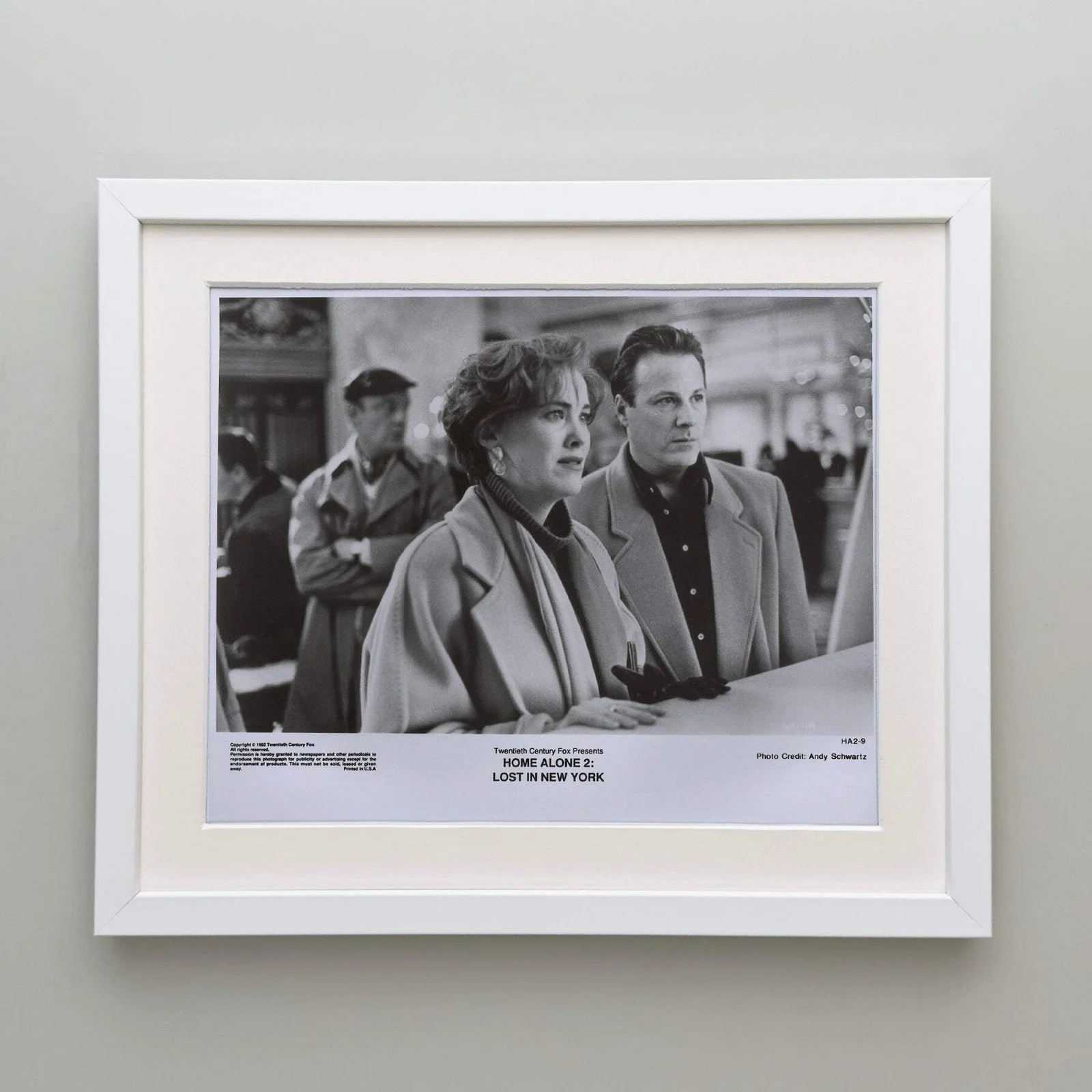 Home Alone 2 (1992) Press Publicity Still - Framed, image 4