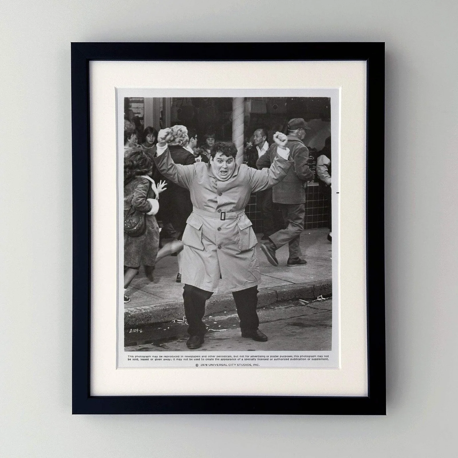 National Lampoons Animal House (1978) Press Publicity Still - Framed, изображение 2
