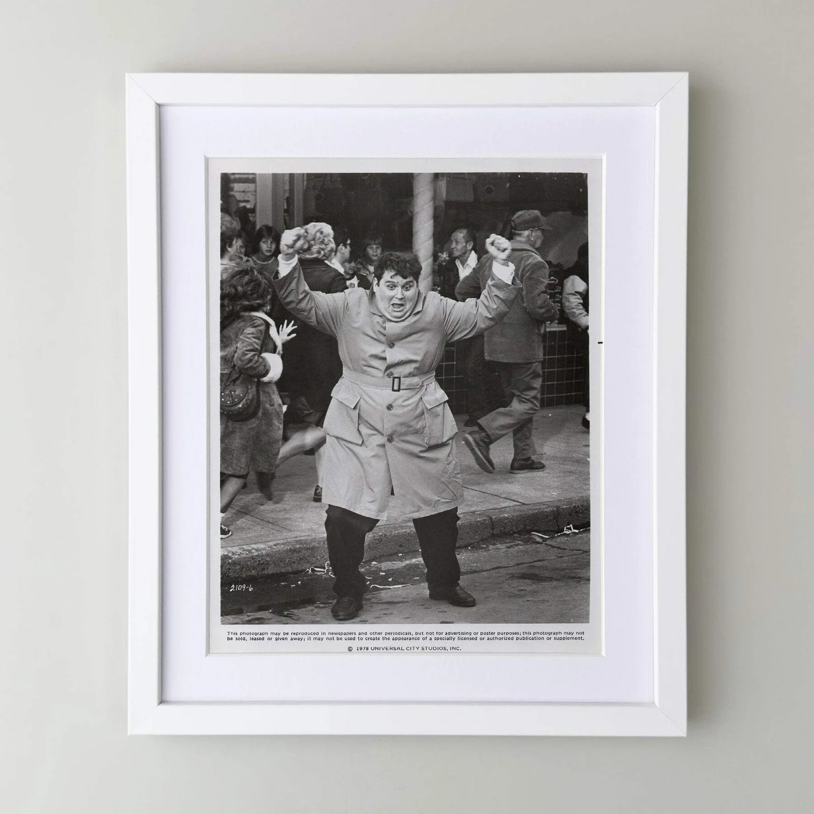 National Lampoons Animal House (1978) Press Publicity Still - Framed, изображение 3