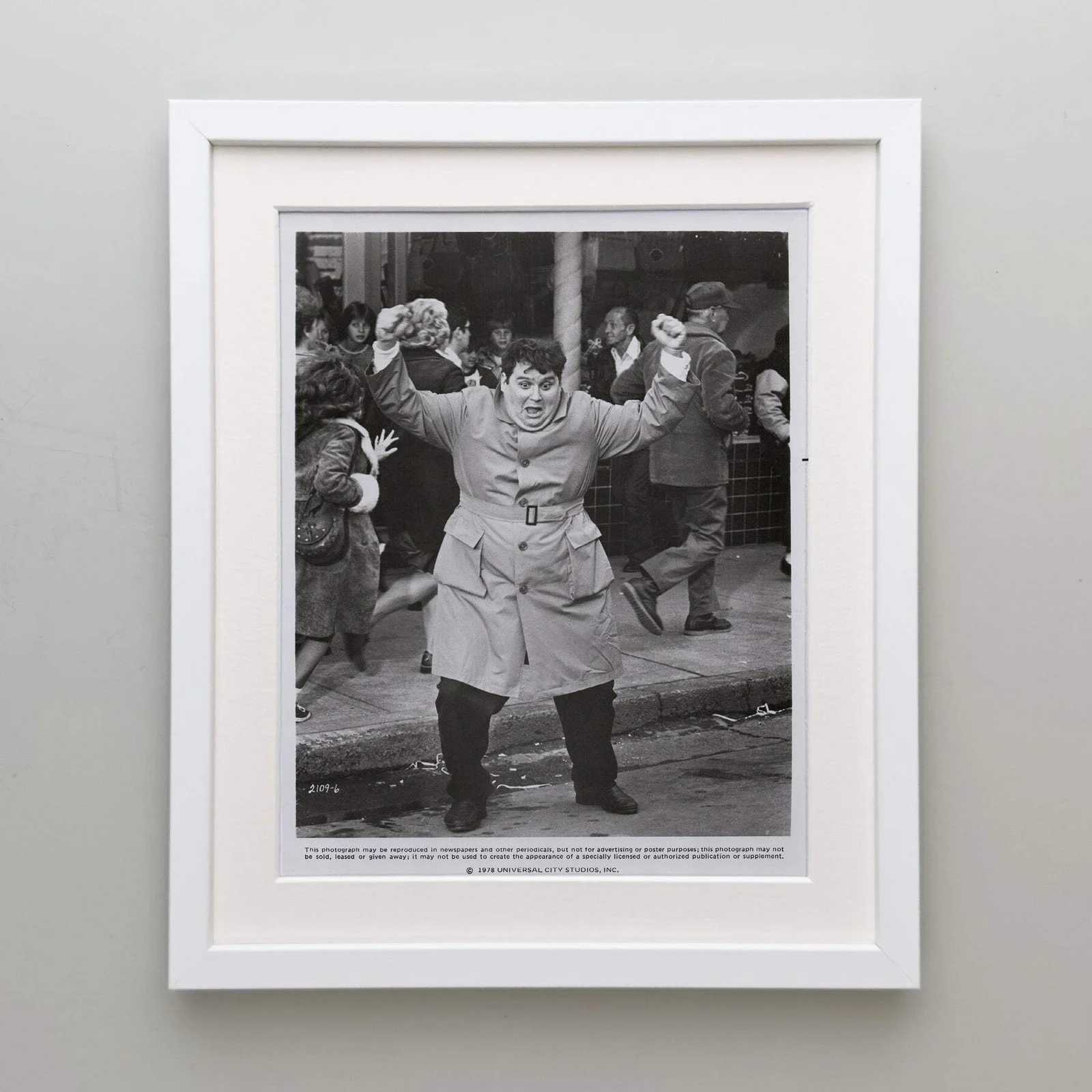 National Lampoons Animal House (1978) Press Publicity Still - Framed, изображение 4