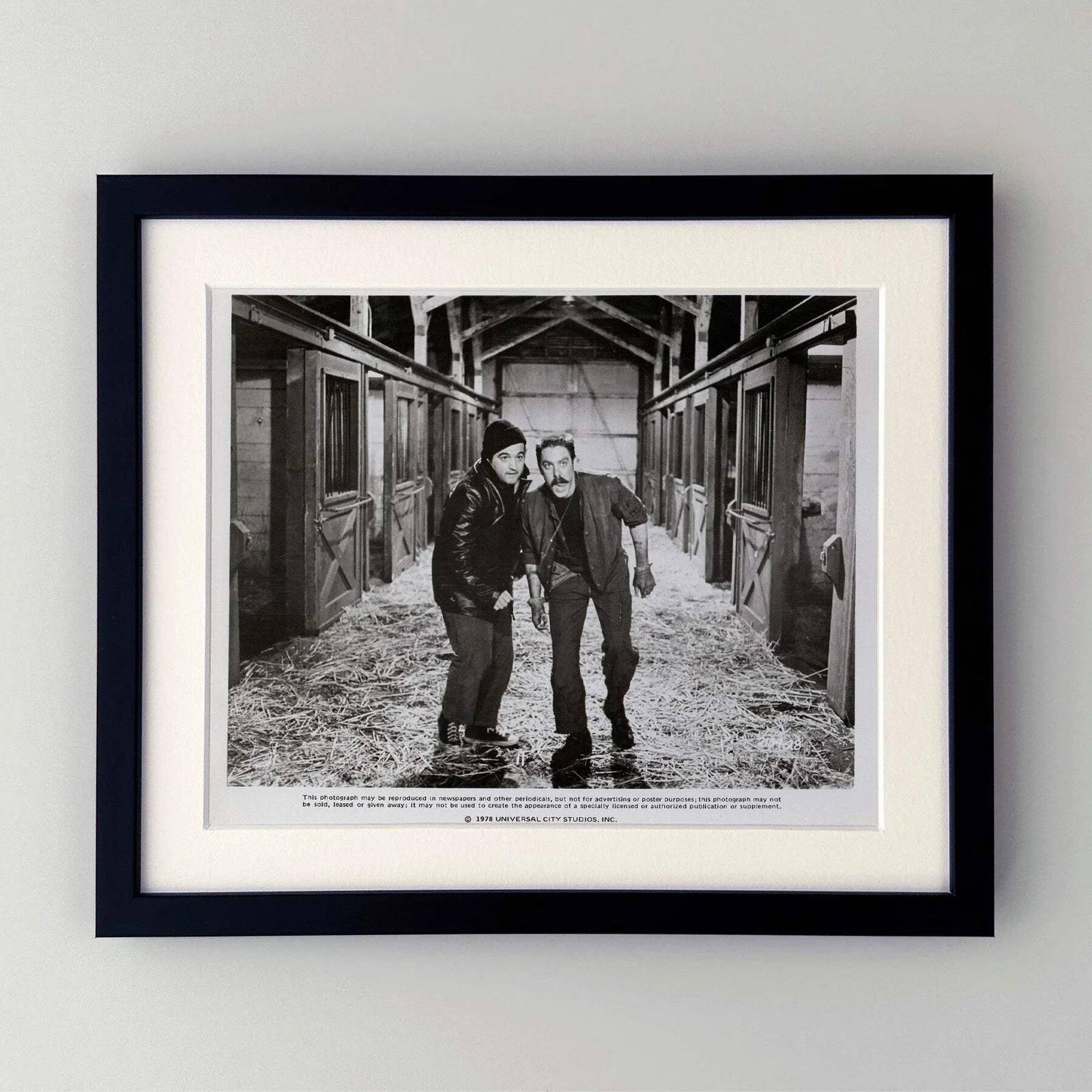 National Lampoons Animal House (1978) Press Publicity Still - Framed, изображение 2