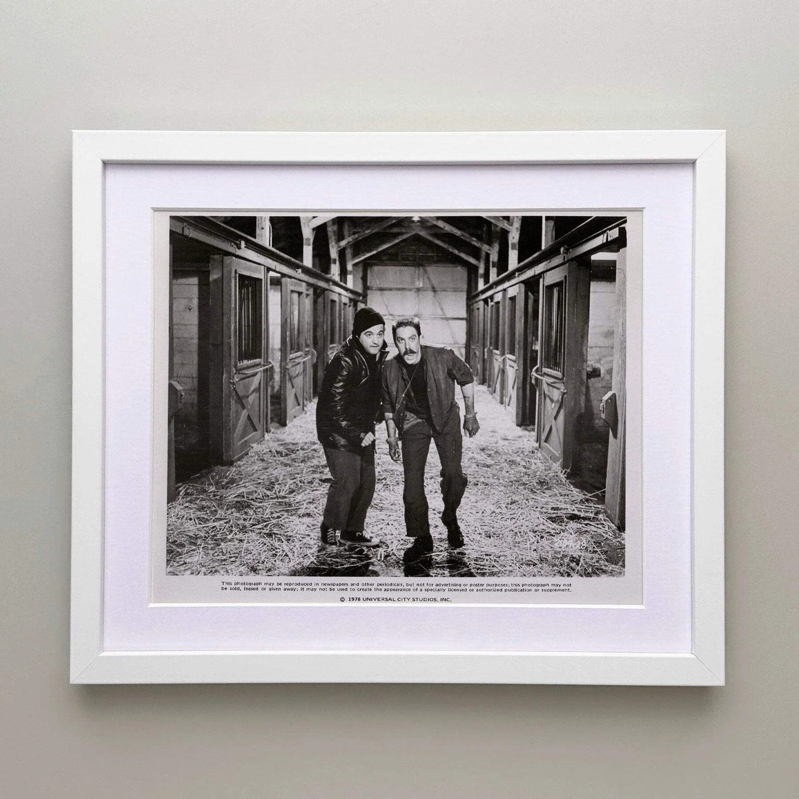 National Lampoons Animal House (1978) Press Publicity Still - Framed, изображение 3