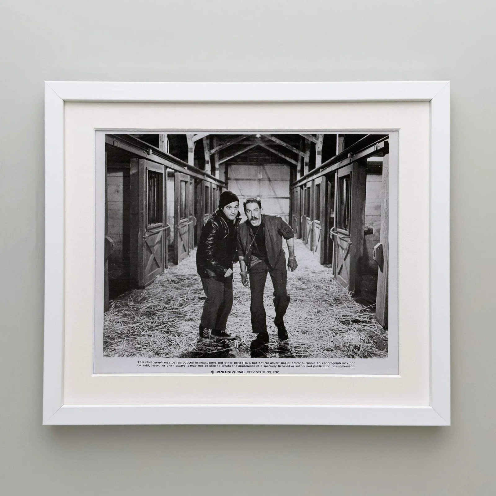 National Lampoons Animal House (1978) Press Publicity Still - Framed, изображение 4