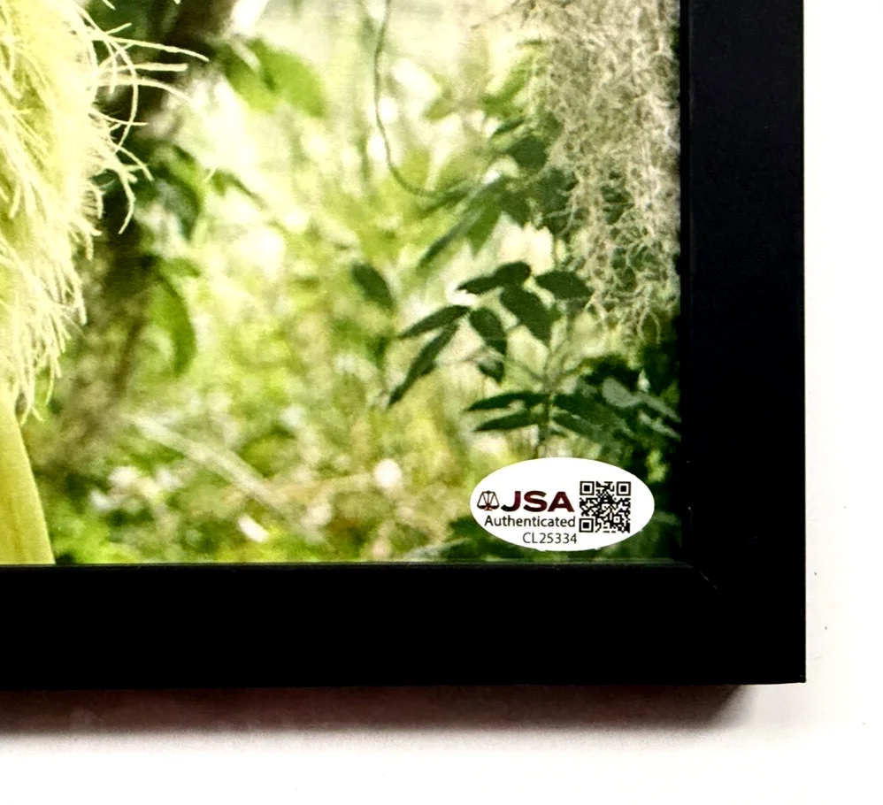 Sierra Ferrell Signed 8x10 Photo Framed Autographed JSA COA CL25334 Country Folk, image 5