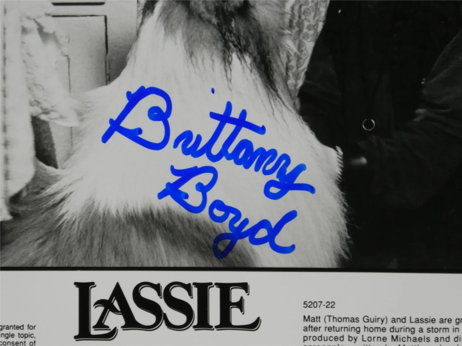 Brittany Boyd — Brittany Boyd Signed B&W 8x10 Promo Photo Lassie Actress Autographed, изображение 2