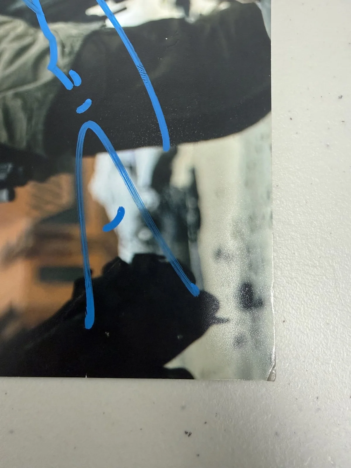 DIEGO LUNA — DIEGO LUNA Authentic Signed "STAR WARS ANDOR" 8x10 Photo JSA/COA, image 3