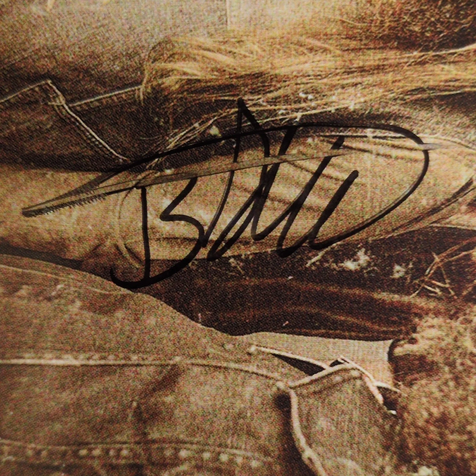 Blackberry Smoke Autographed Original Band Photo 3 Legged Records Music, изображение 3