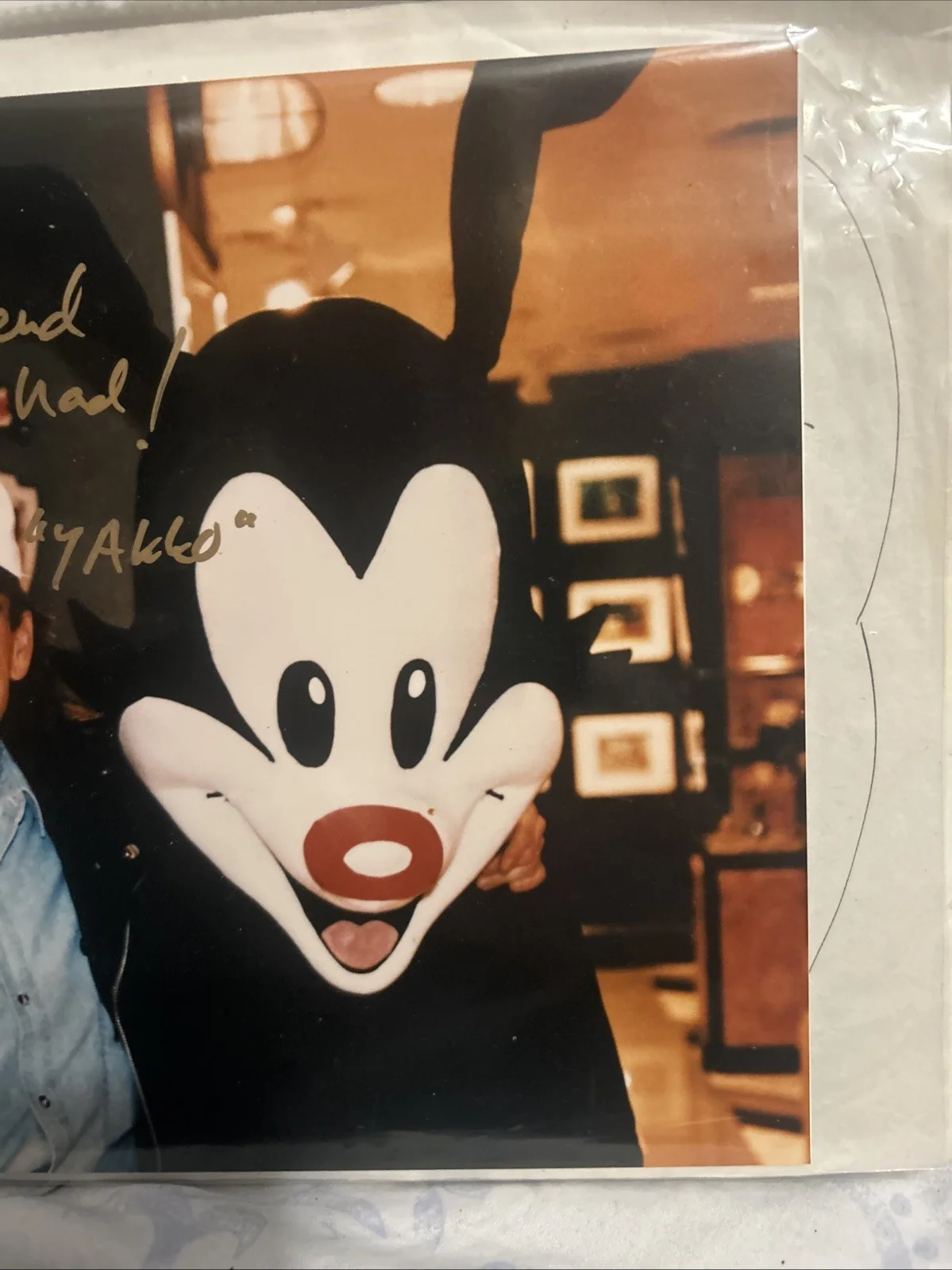 Rob Paulsen — Rob Paulsen Signed 8x10 Color Photo Of Himelself With Yakko, image 4