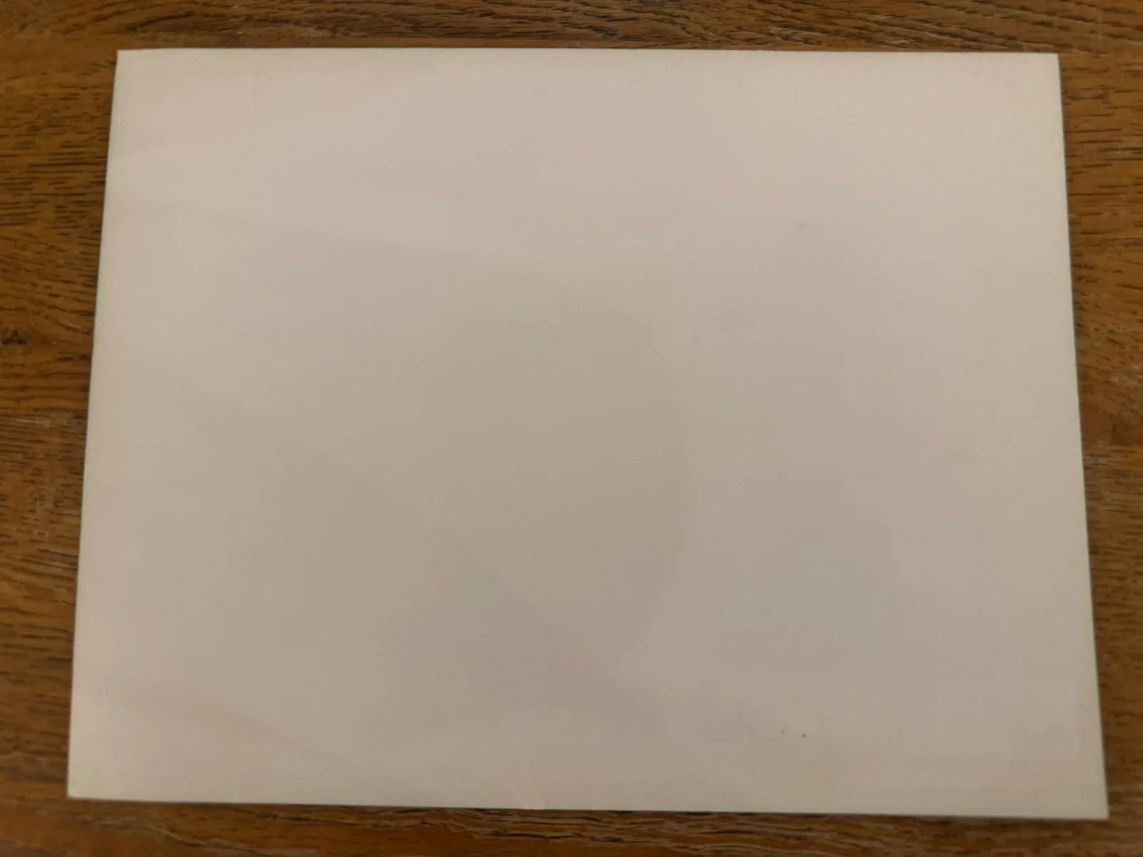 Garfield promo sample video 1987 very rare video shop sleeve, image 2