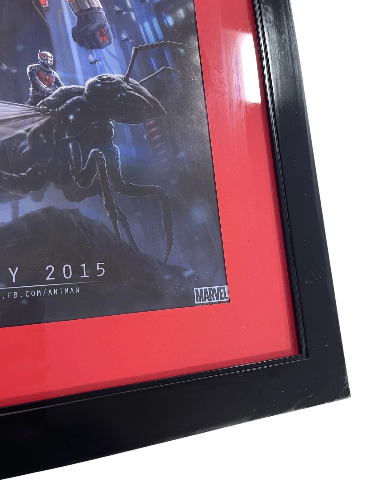 Paul Rudd Autographed Antman Photo 27x21, image 2