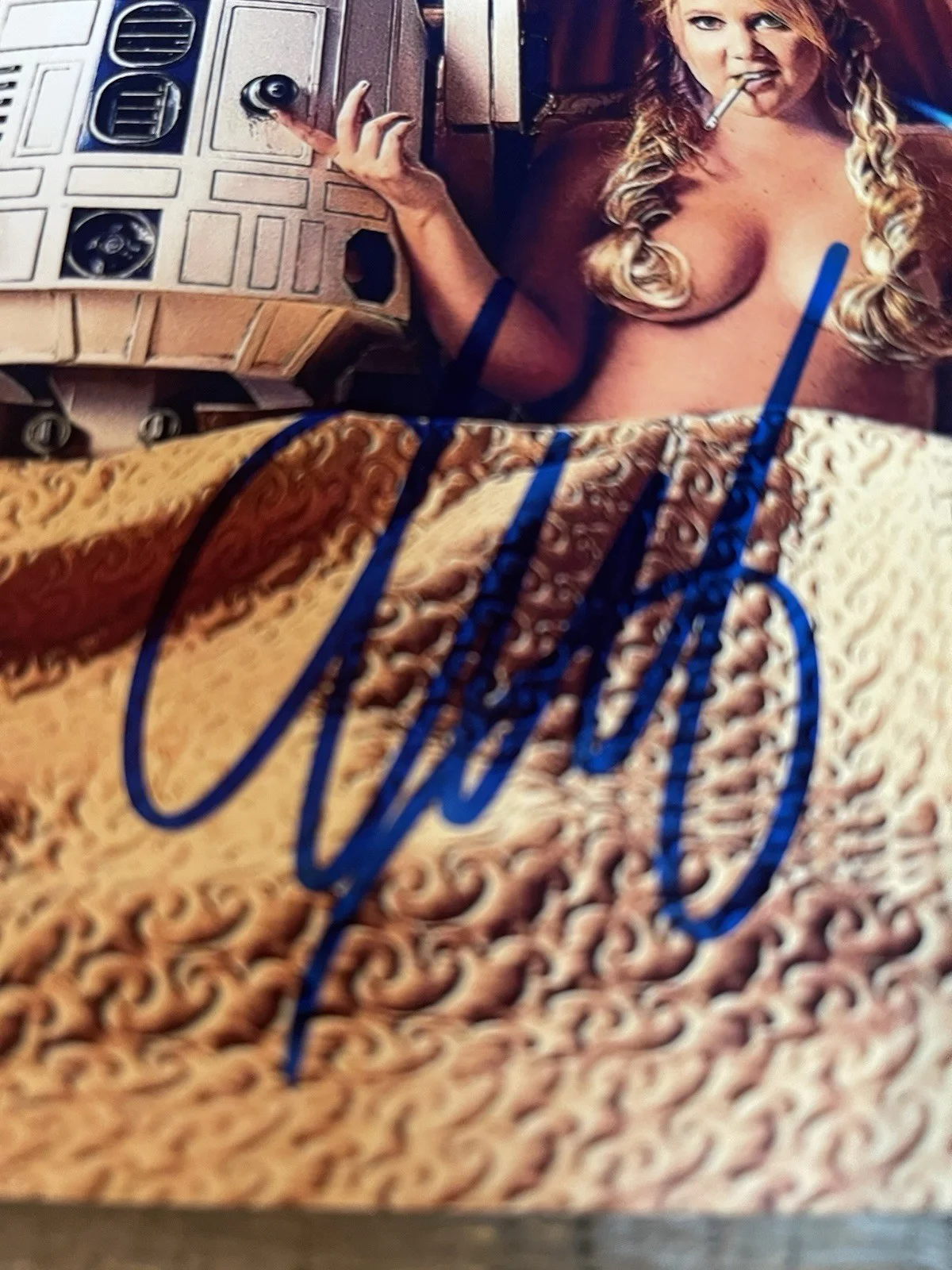actress — Amy Schumer Actress Comedian Hand Signed Autographed 8x10 Star Wars Photo w COA, image 2