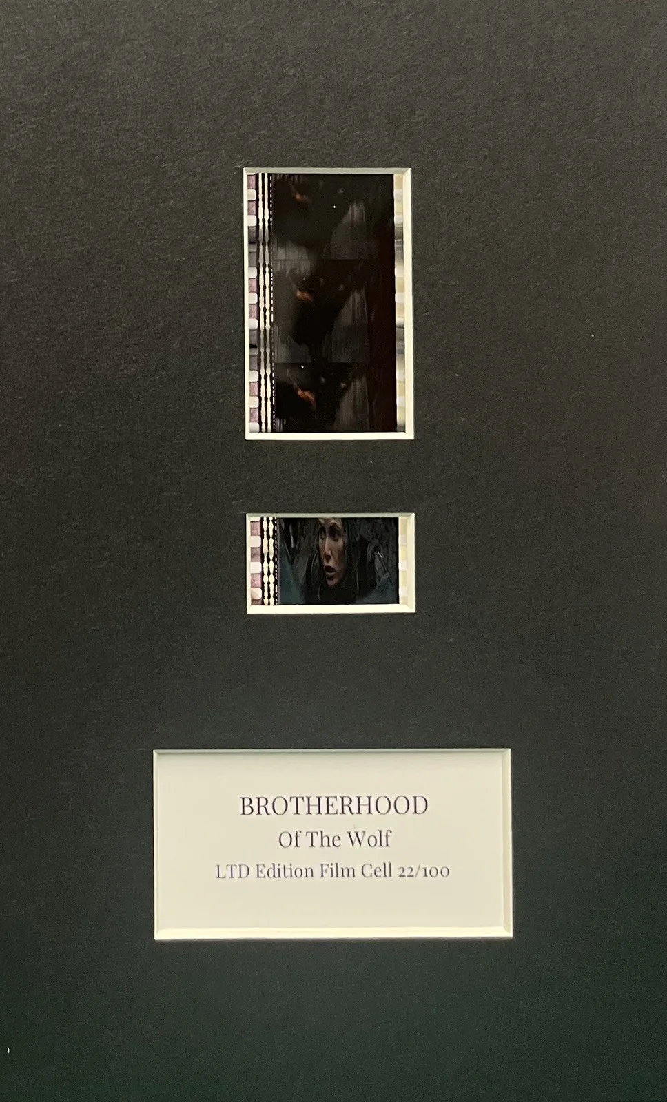 BROTHERHOOD OF THE WOLF. 35mm Film Cell Mounted Display, изображение 2