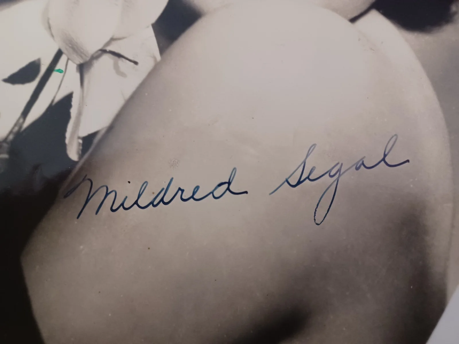 Mildred Segal Signed 8x10 Vintage Photo - Actress, Singer, Entertainer, изображение 2