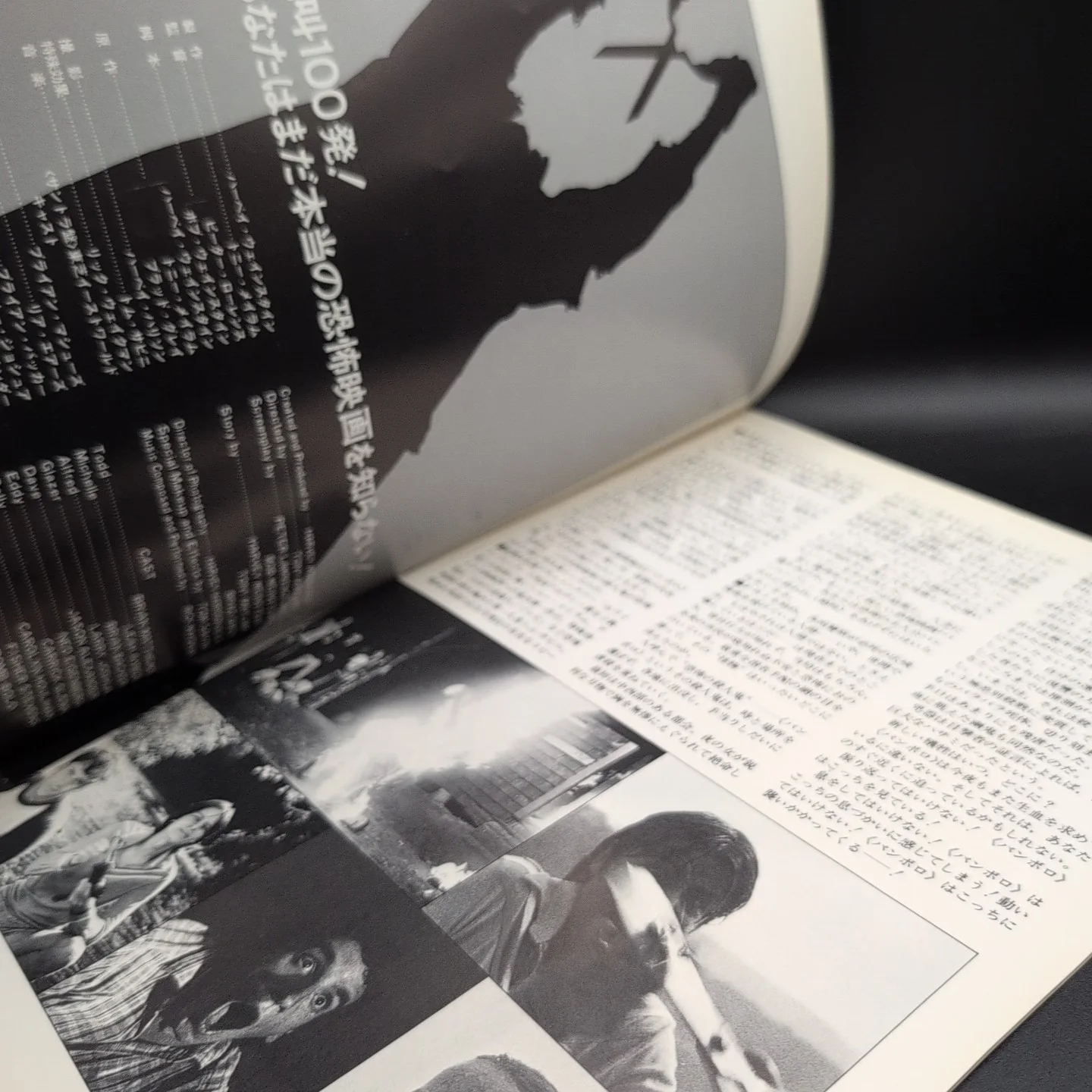 The Burning Brian Matthews Film Programme 1981 Japan Import, image 4