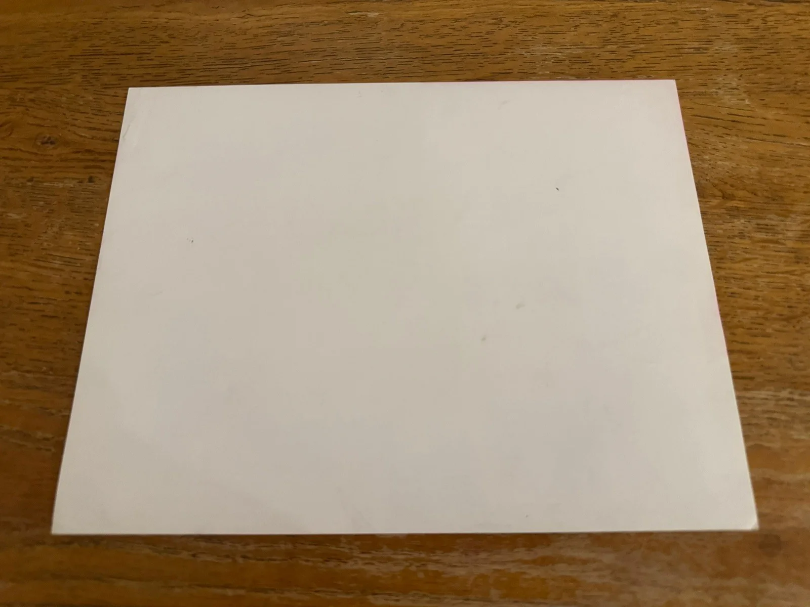 Diplodo video 1989 very rare video shop sleeve, image 2