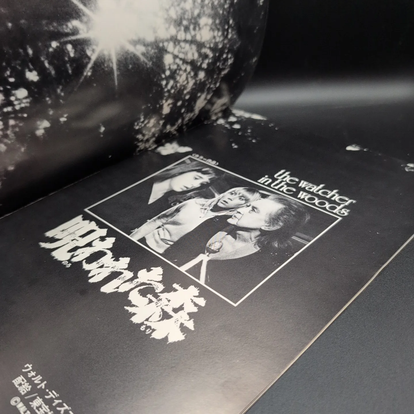 The Watcher in the Woods Bette Davis Film Programme Japan Import, image 3