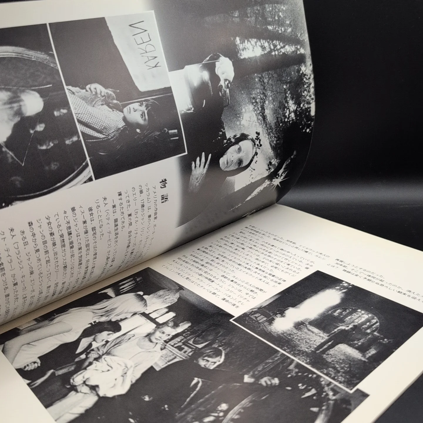 The Watcher in the Woods Bette Davis Film Programme Japan Import, image 5