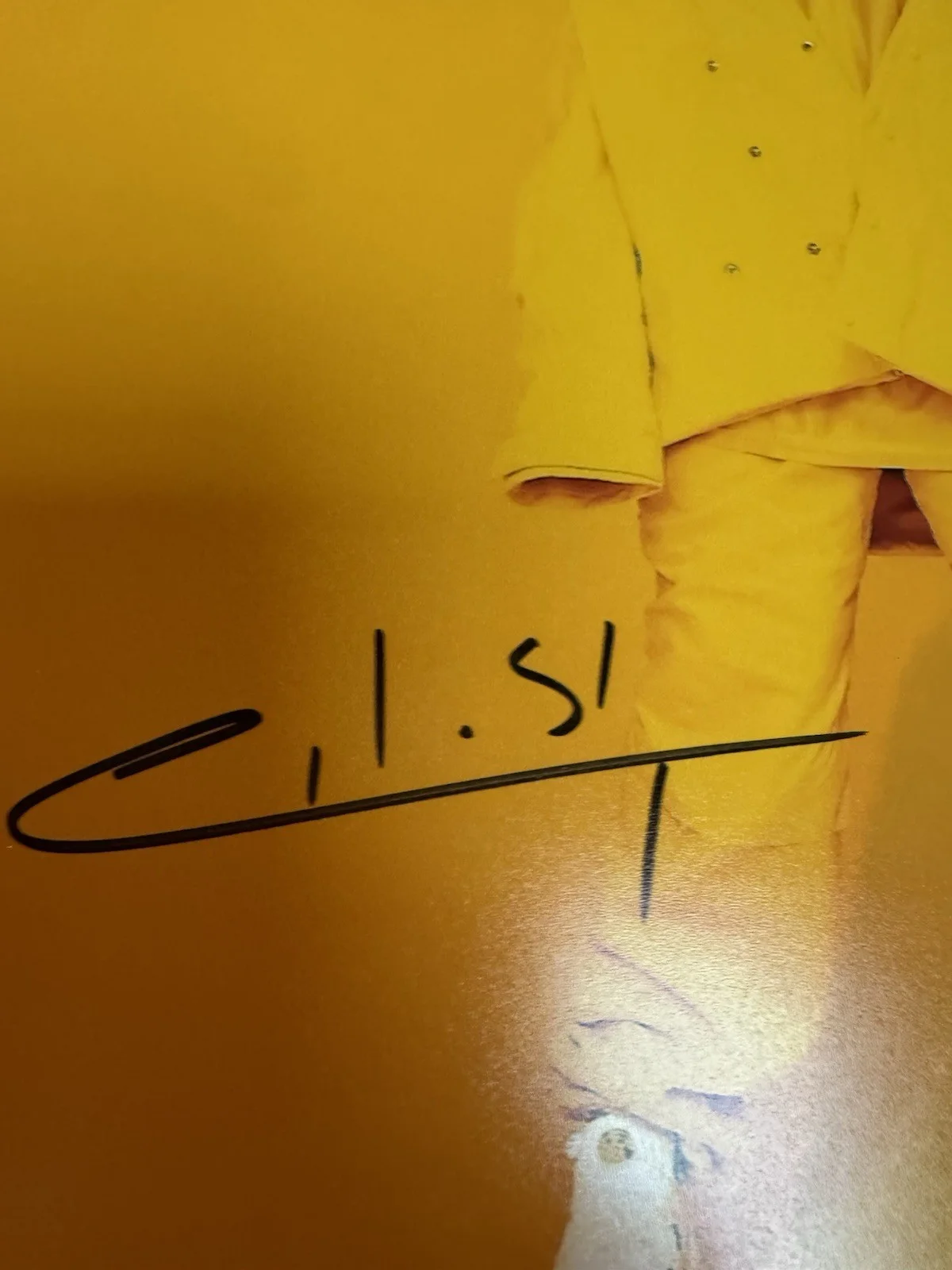BILLIE EILISH Hand Signed Original 8x10" Authentic Autograph COA beautiful, image 2