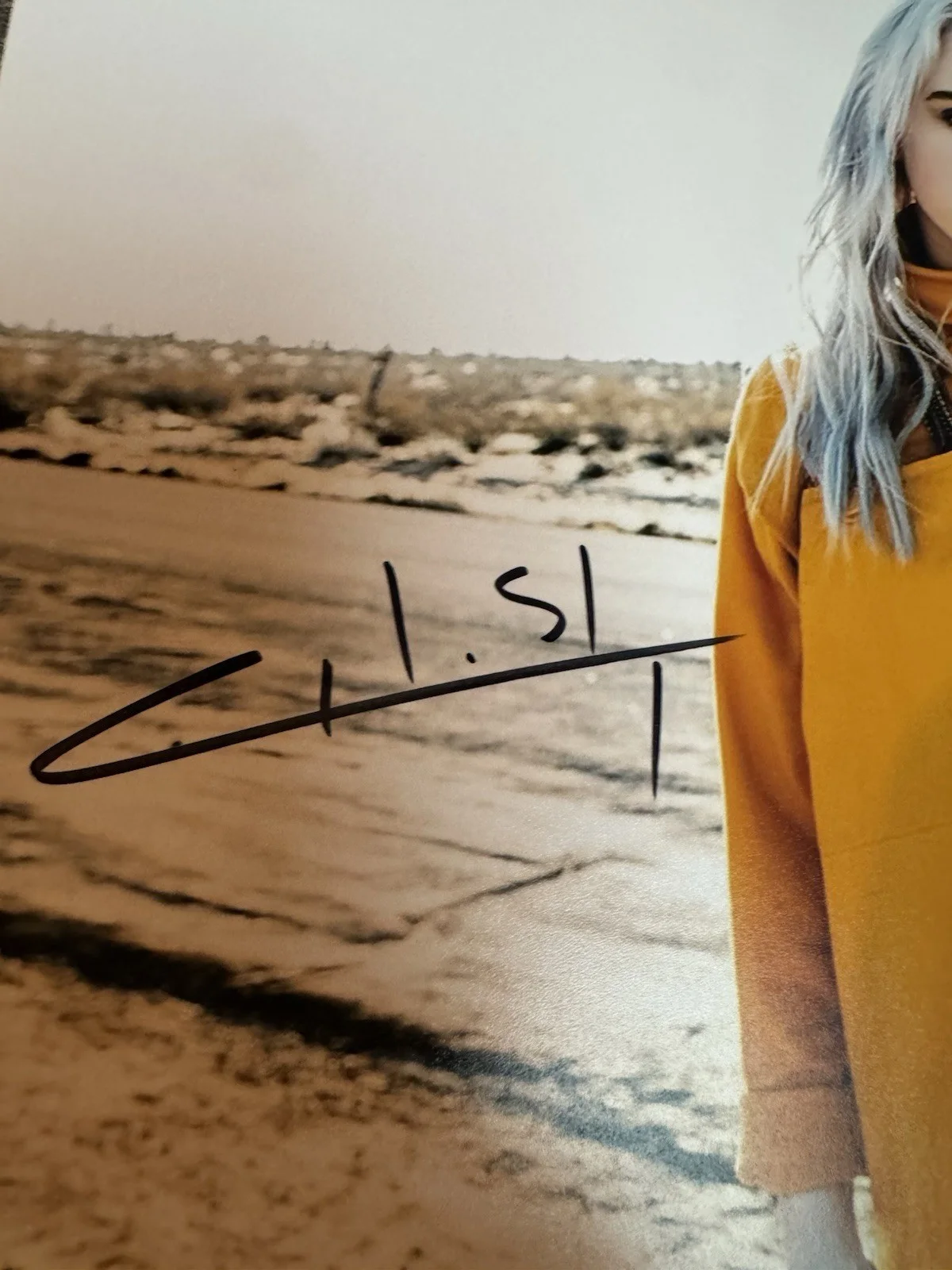BILLIE EILISH Signed 8x10 photo with Dual COAs Beautiful Signed photo, изображение 2