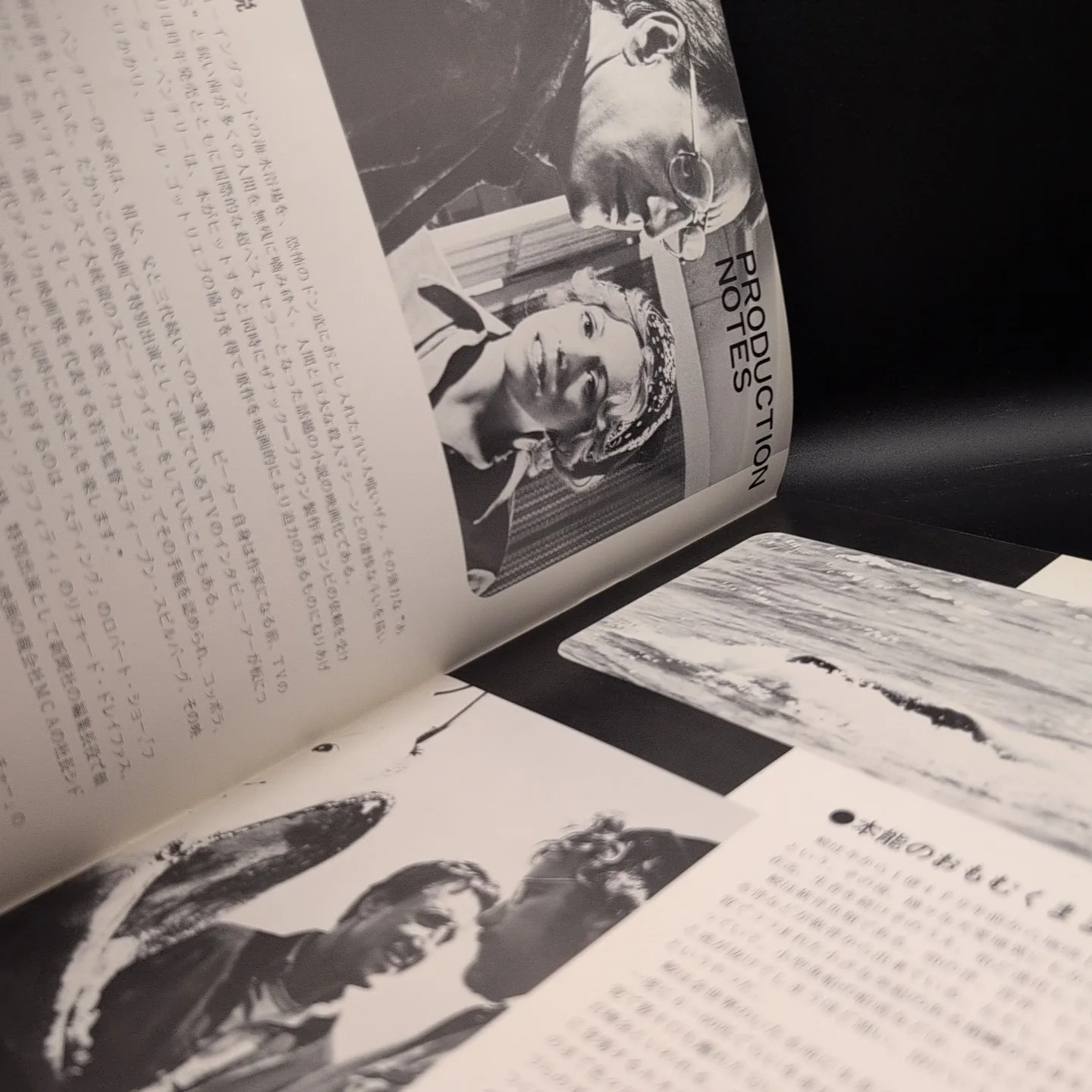 Jaws Steven Spielberg Film Programme 1975 Japan Import, image 4
