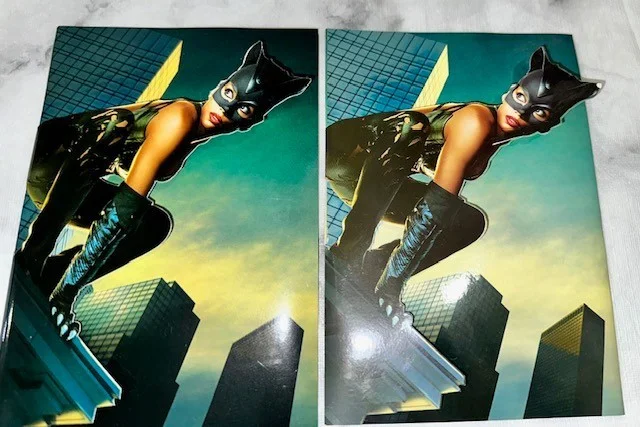 Exclusive Catwoman 2004 Press Cinema Screening Colour Brochure & 1 Ticket, image 2