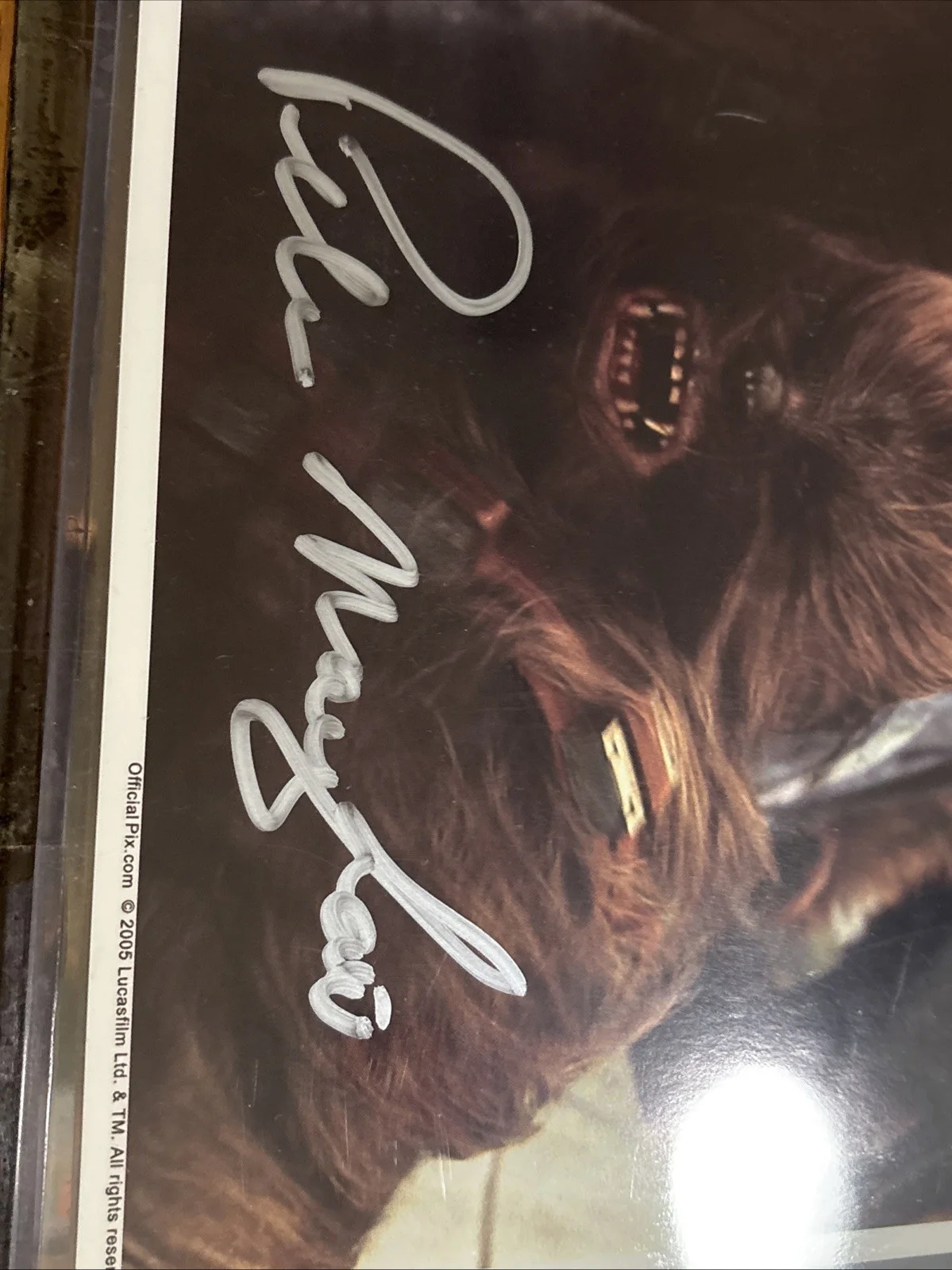 Star Wars Celebrations Official Pix Peter Mayhew Autograph Signed 8x10 Fast S/H, изображение 3