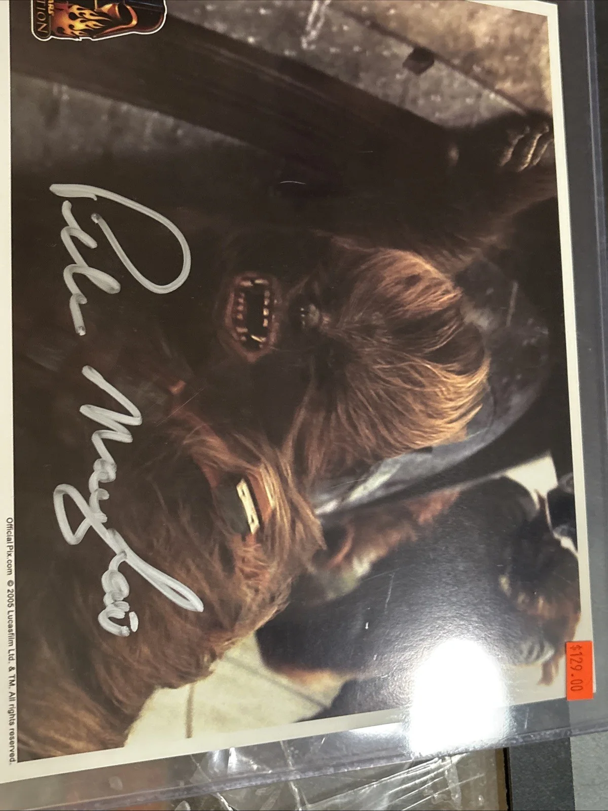 Star Wars Celebrations Official Pix Peter Mayhew Autograph Signed 8x10 Fast S/H, изображение 4