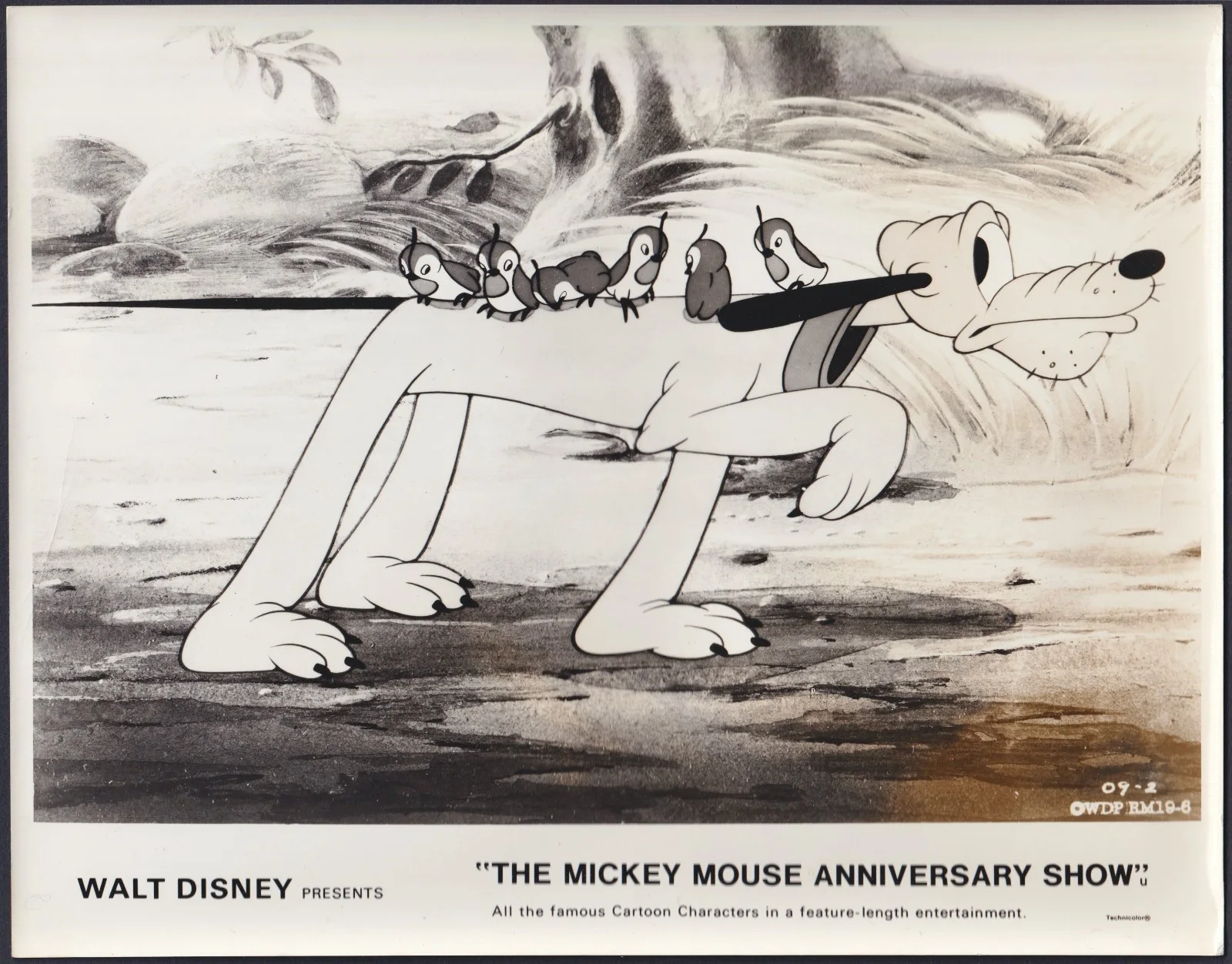 Mickey Mouse Anniversary Show 8x ORIGINAL UK B+W FOH Lobby Cards Disney 1968, изображение 5