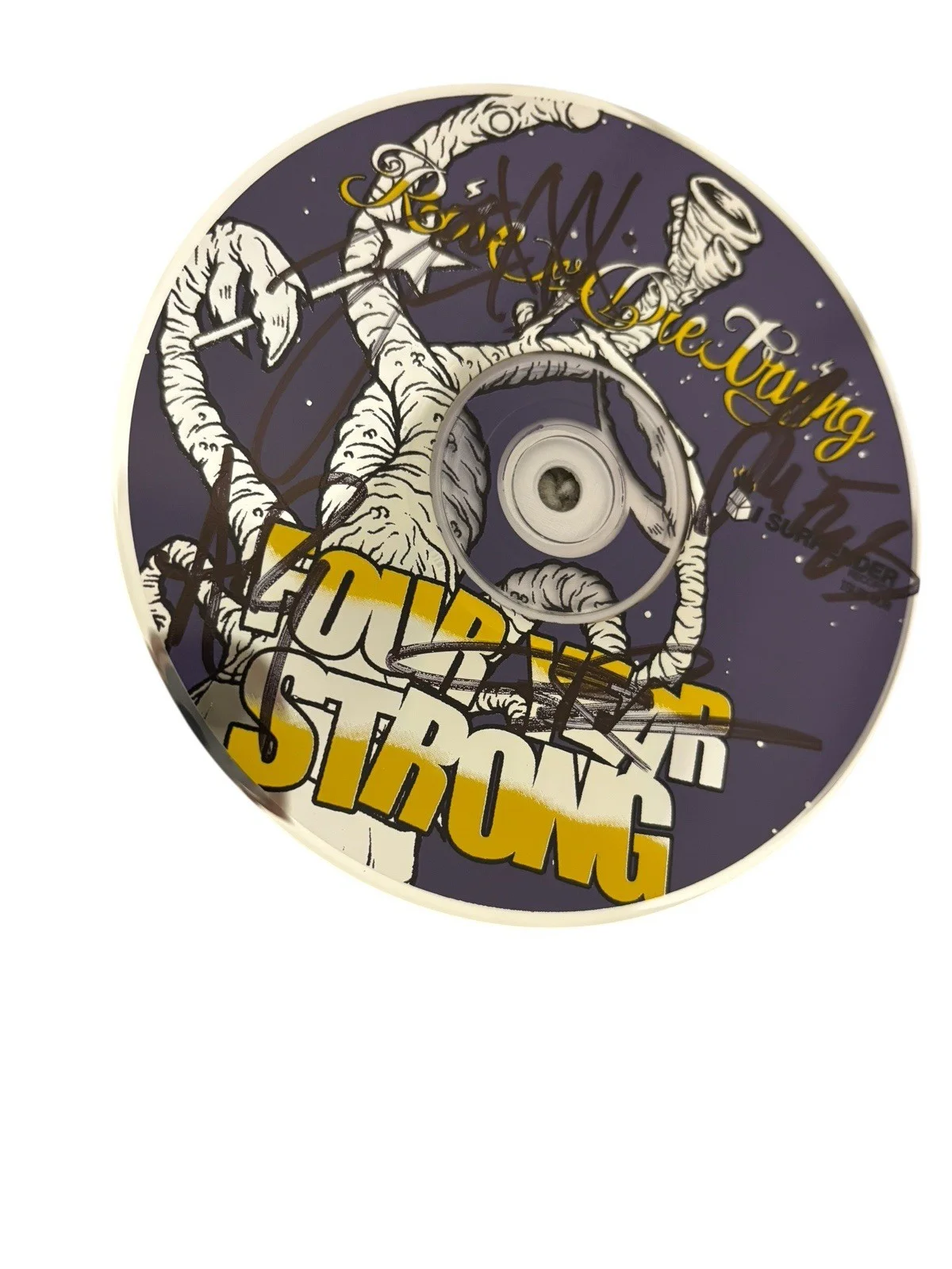 FOUR YEAR STRONG BAND SIGNED AUTOGRAPH x4 RISE OR DIE TRYING FRAMED & MATTED CD, изображение 4