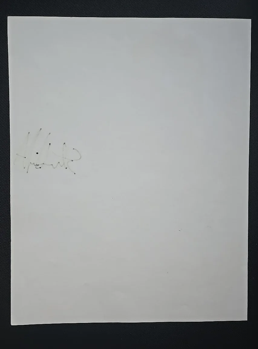 Steven Wright — Original Steven Wright Autograph - Large Format 11x14 - Comedian Hollywood, image 4