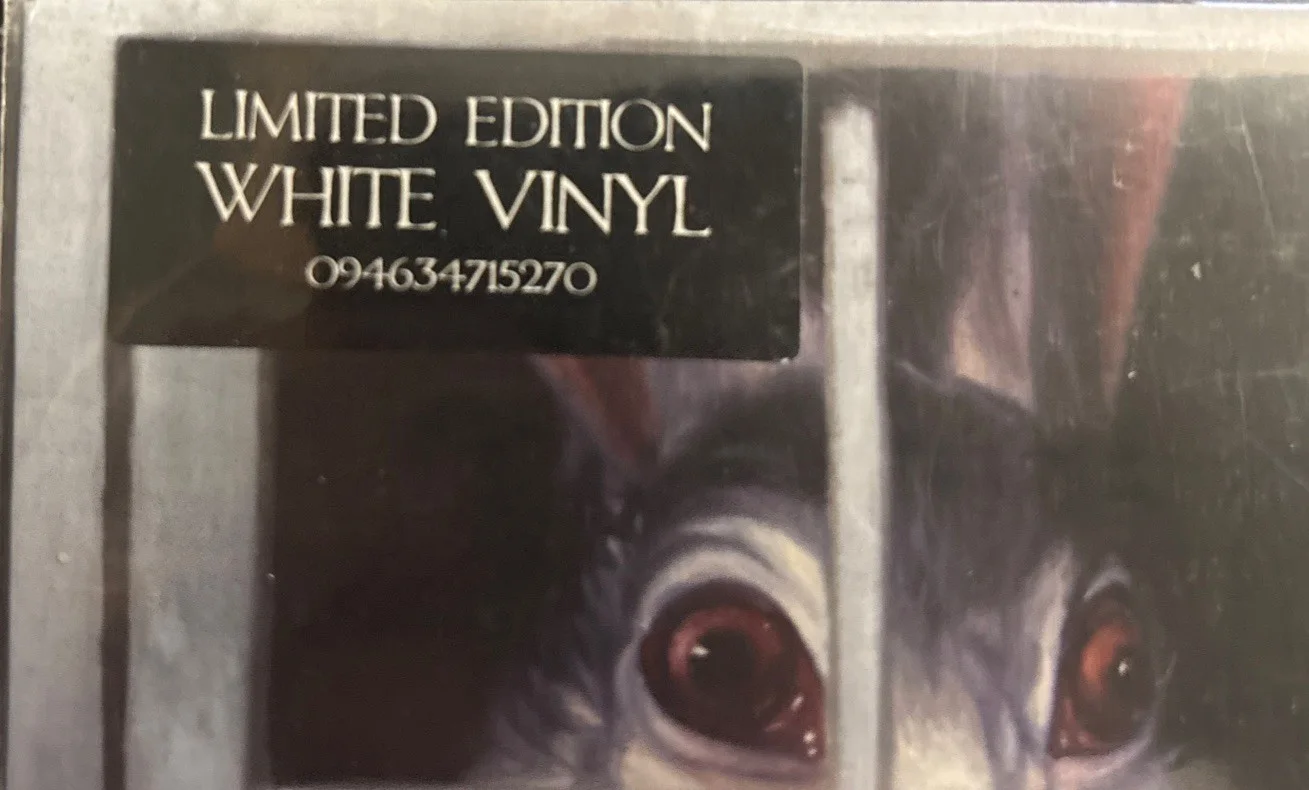 Ultra Rare ( VUS 316) 2005Unopened/sealed Korn White Vinyl Twisted Transistor 45, image 2