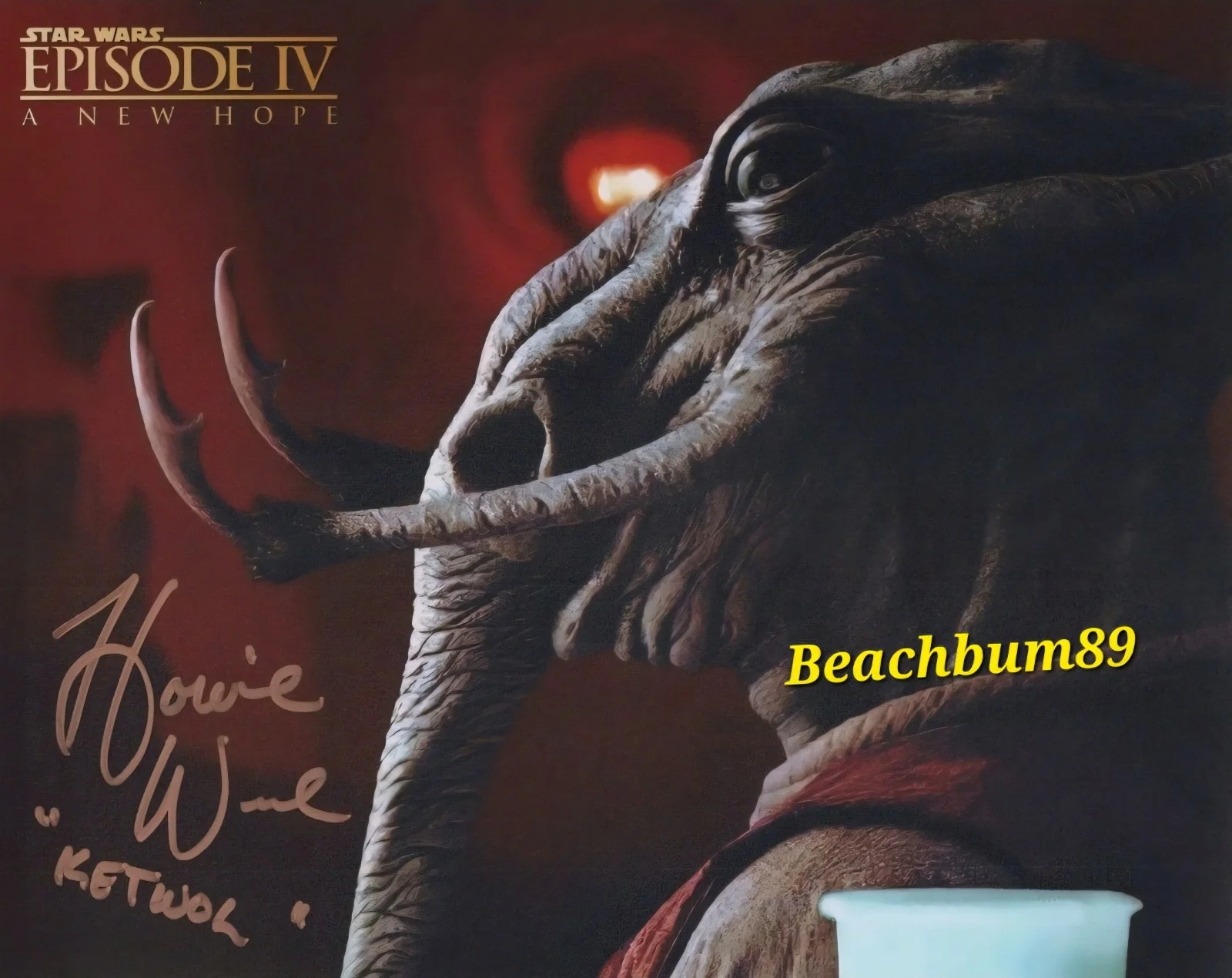 Howie Weed — Star Wars Episode IV "A New Hope" - HOWIE WEED as 'Ketwol' - Signed 8x10 w/COA