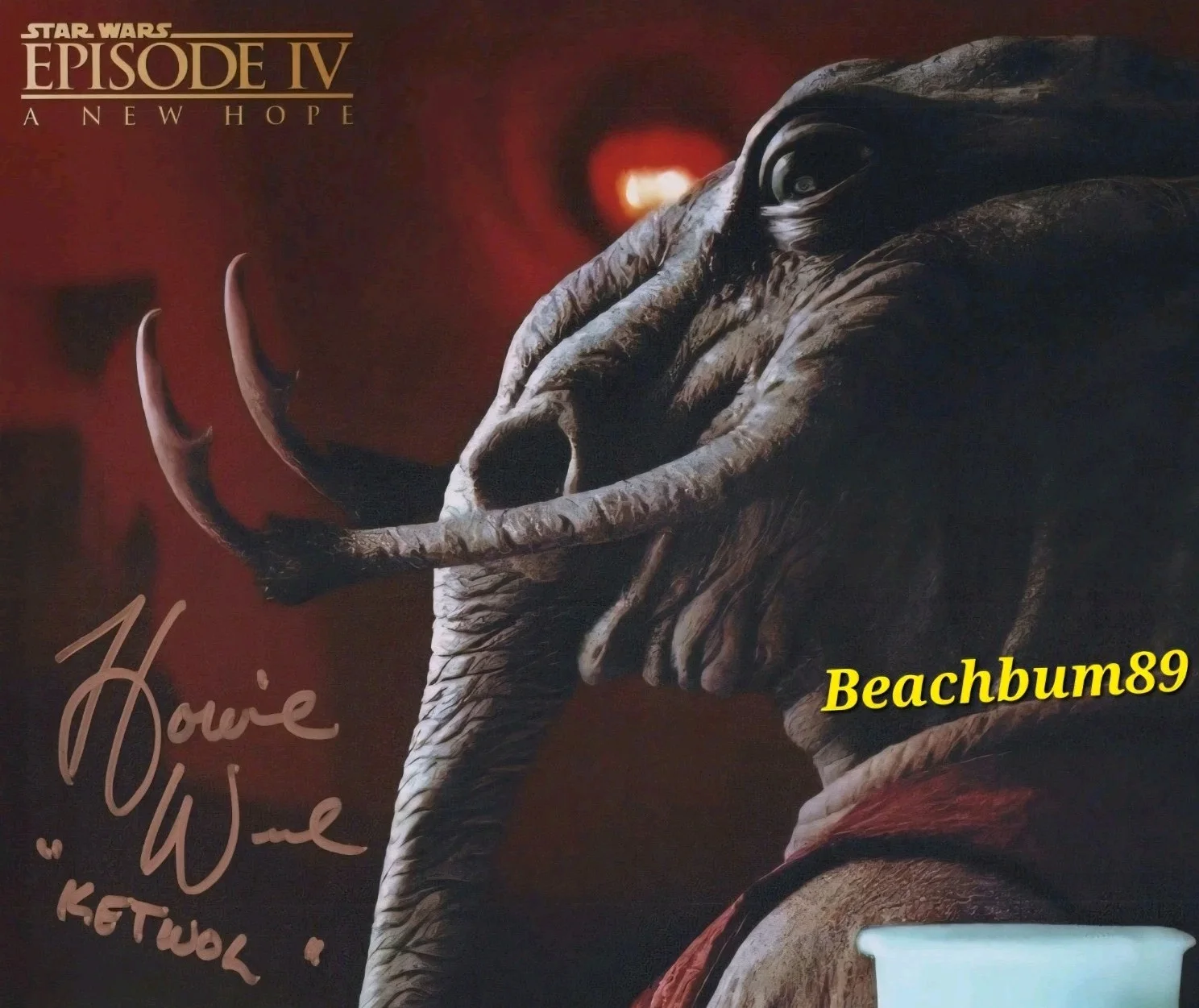 Howie Weed — Star Wars Episode IV "A New Hope" - HOWIE WEED as 'Ketwol' - Signed 8x10 w/COA, изображение 5