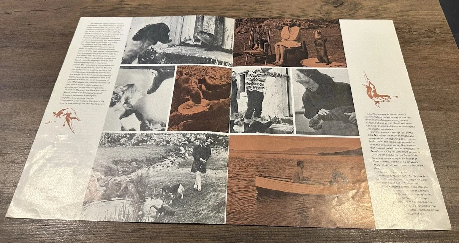 RING OF BRIGHT WATER FILM PROGRAM Brochure Bill travers Virginia McKenna, изображение 4