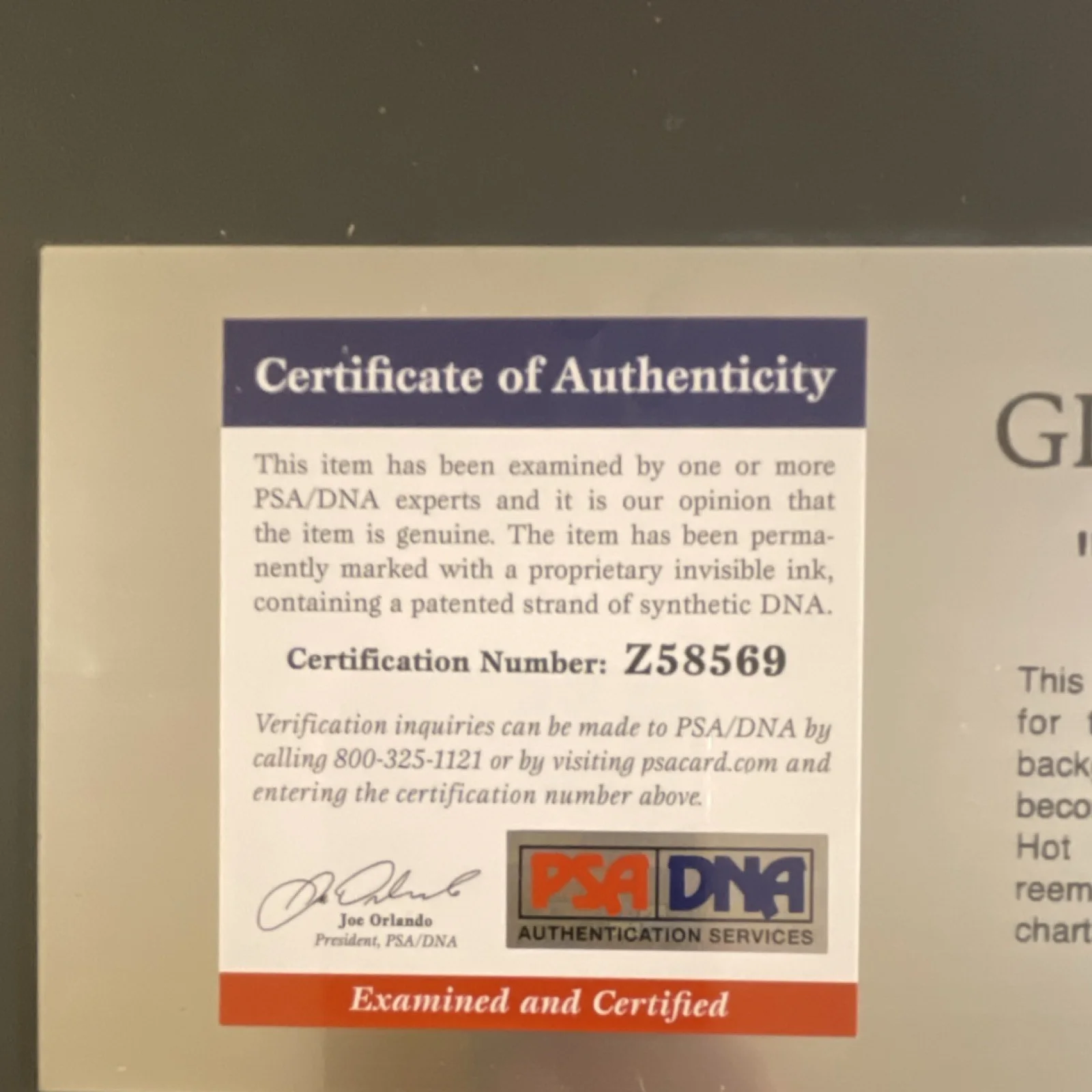 Gloria Estefan 'Out of Nowhere' Autographed CD & Booklet PSA/DNA Authenticated, изображение 2