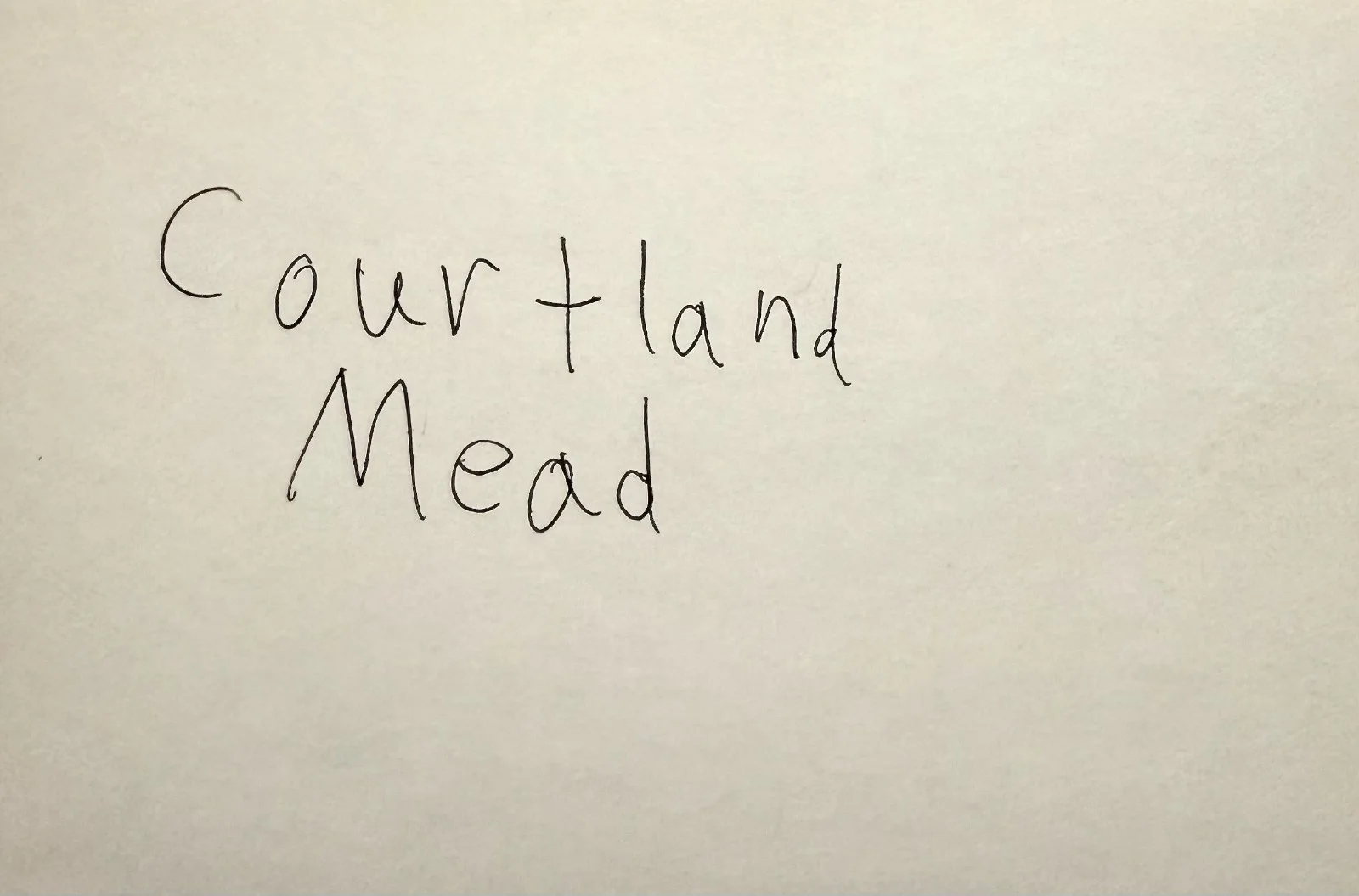 Courtland Mead — COURTLAND MEAD Signed Autographed 4x6 INDEX CARD KIRK Dragon Tales THE SHINING, изображение 3