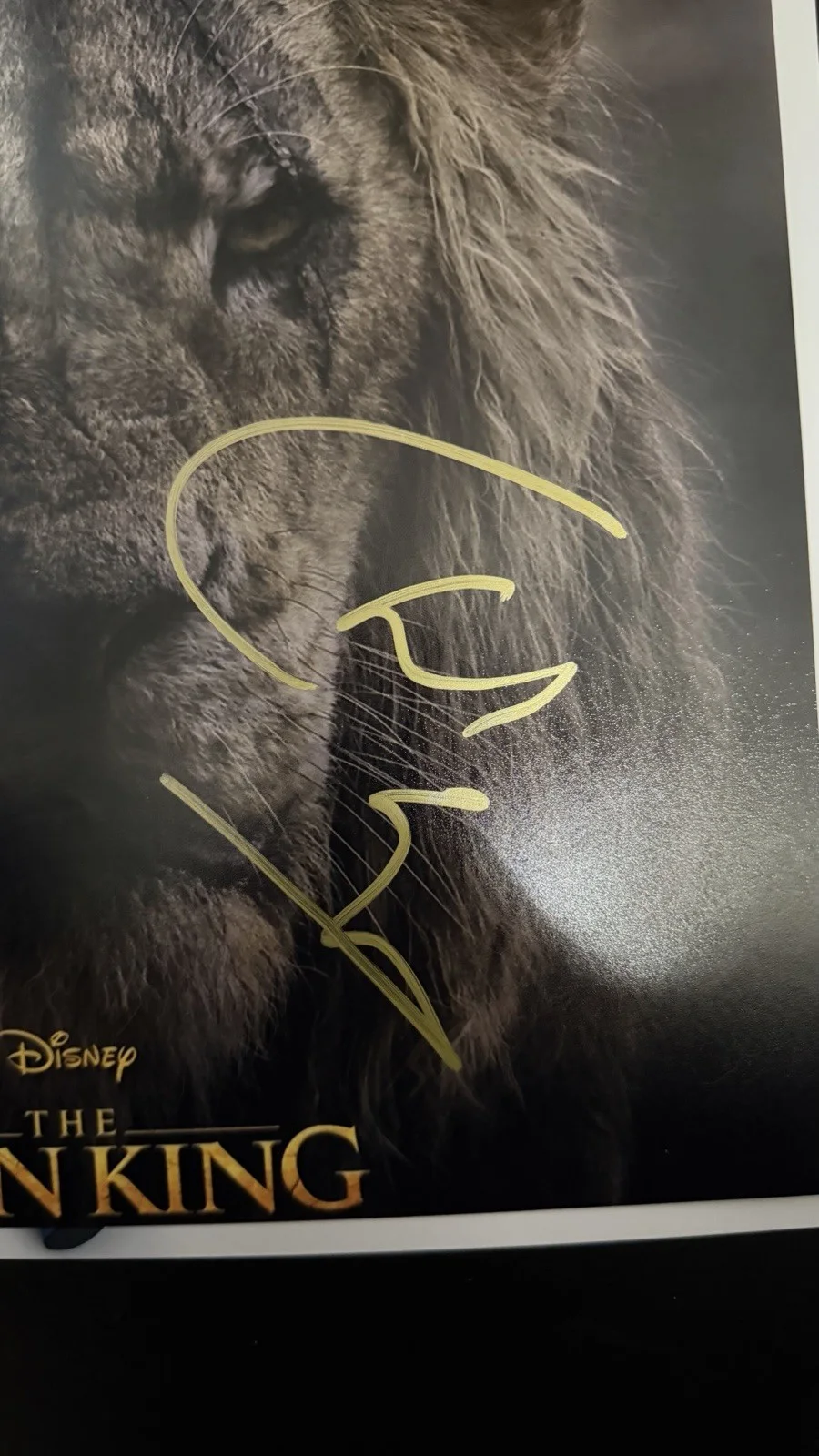 Chiwetel Ejiofor — Chiwetel Ejiofor "Lion King" Disney Autographed Signed 11x14 Photo Beckett COA, изображение 2