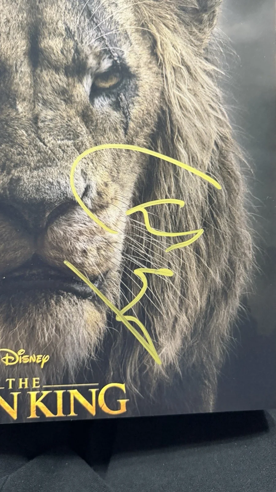 Chiwetel Ejiofor — Chiwetel Ejiofor "Lion King" Disney Autographed Signed 11x14 Photo Beckett COA, изображение 4
