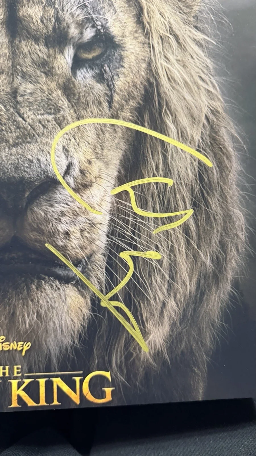 Chiwetel Ejiofor — Chiwetel Ejiofor "Lion King" Disney Autographed Signed 11x14 Photo Beckett COA, изображение 5
