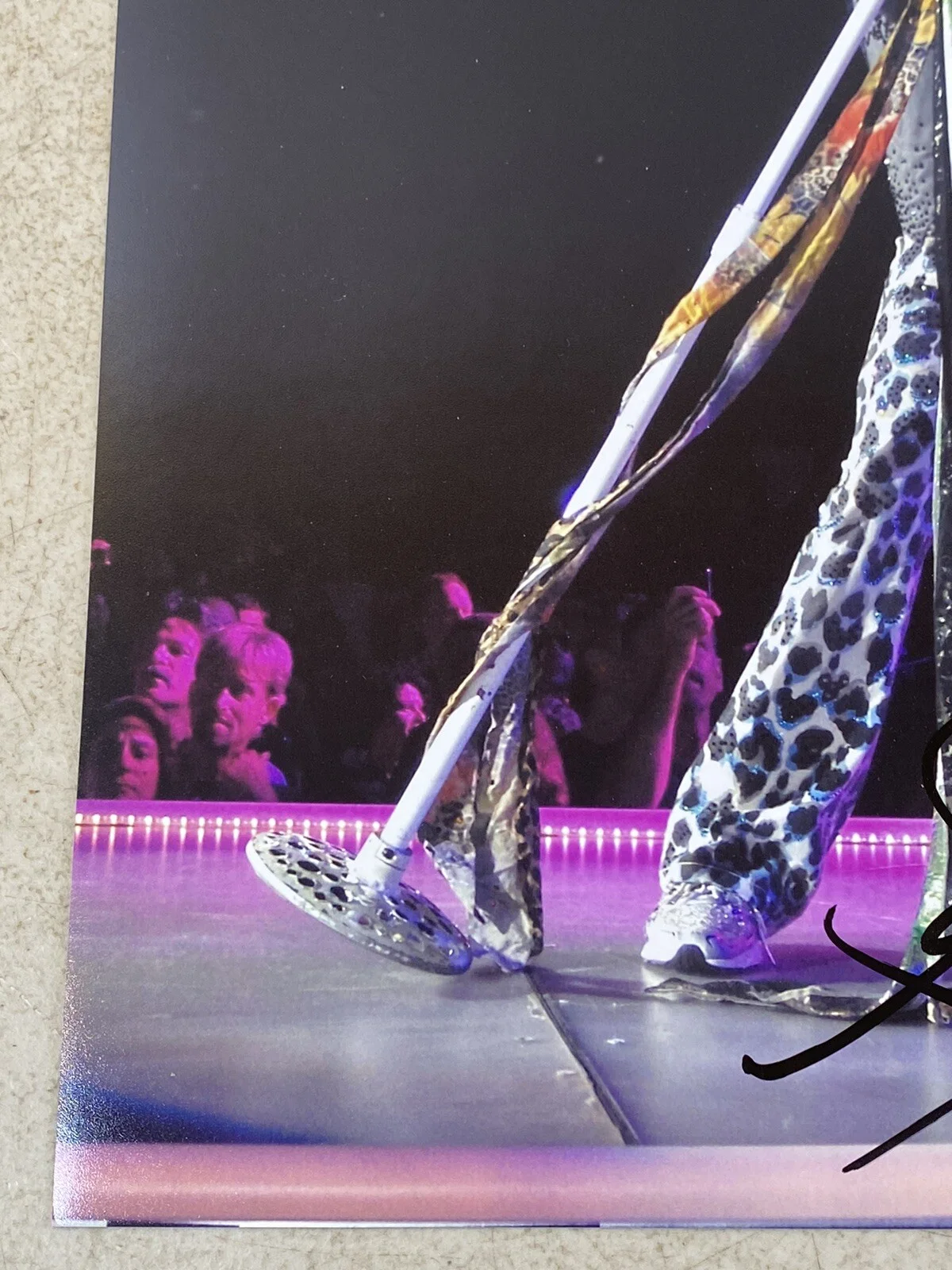 Steven Tyler Aerosmith Signed Print Poster autograph 56E85, image 4