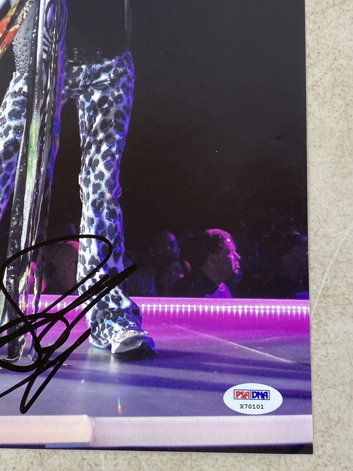Steven Tyler Aerosmith Signed Print Poster autograph 56E85, image 5