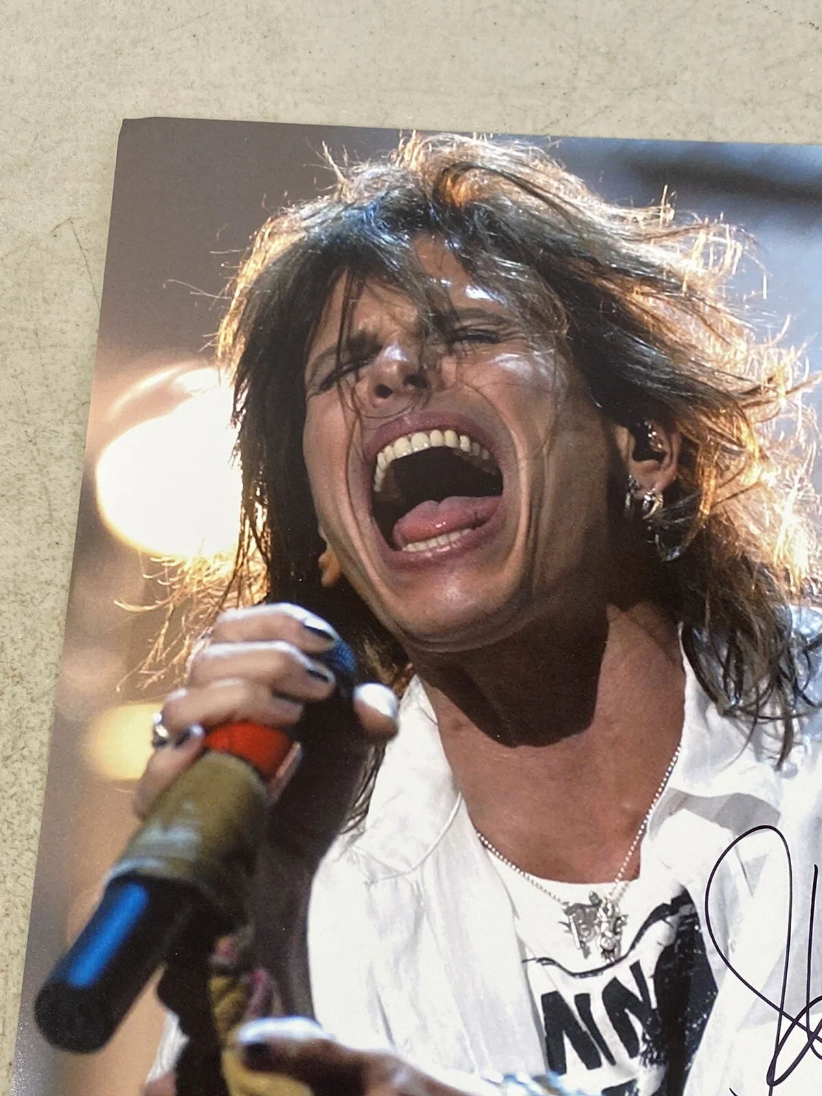 Steven Tyler Aerosmith Signed Print Poster autograph 57E85, изображение 2