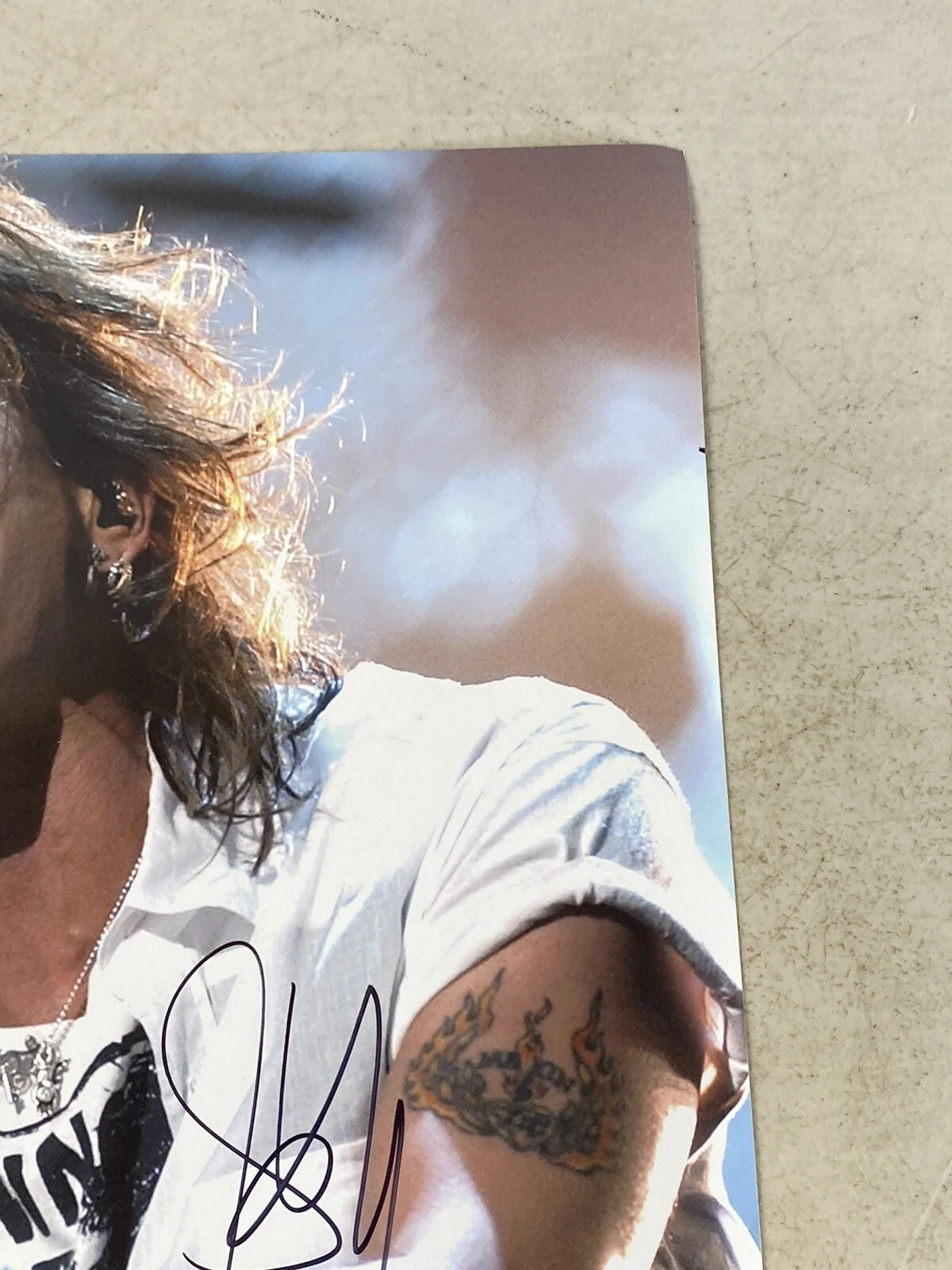 Steven Tyler Aerosmith Signed Print Poster autograph 57E85, изображение 3
