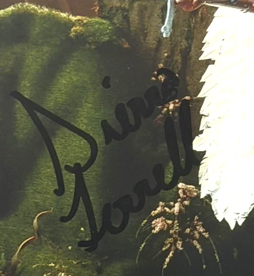 Sierra Ferrell Signed Autographed 8x10 Photo JSA COA Country Folk Americana, изображение 3