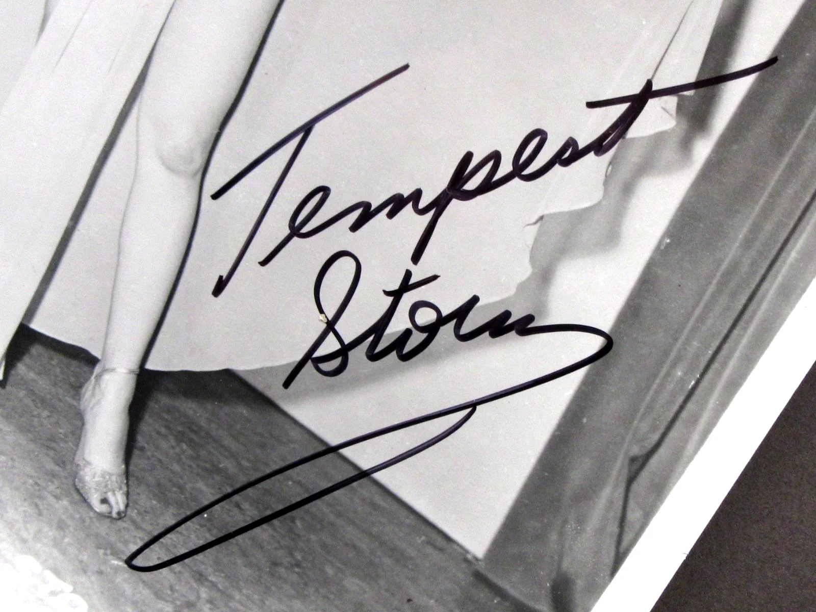 Tempest Storm — TEMPEST STORM burlesque star AUTOGRAPHED 8x10 b&w glossy publicity PHOTO wb, изображение 2