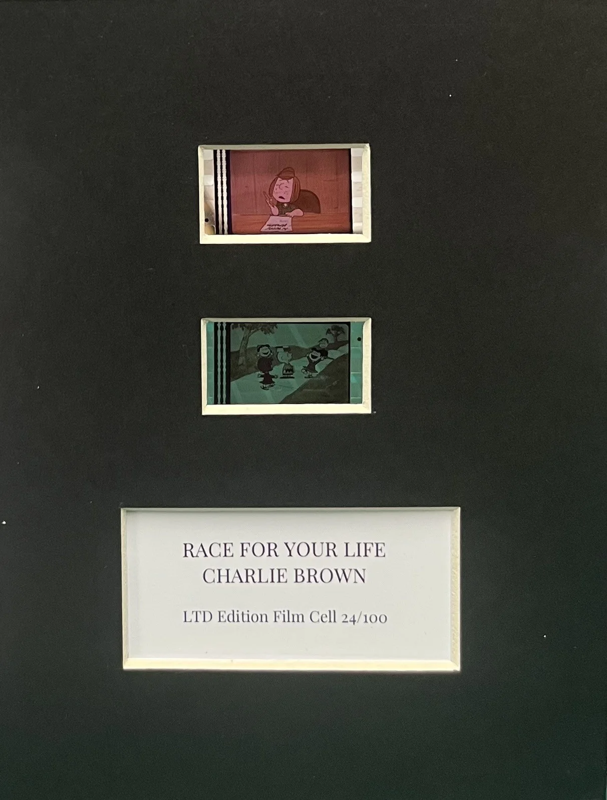 A RACE FOR YOUR. LIFE. Charlie Brown . 35mm Film Cell Mounted Display, image 3