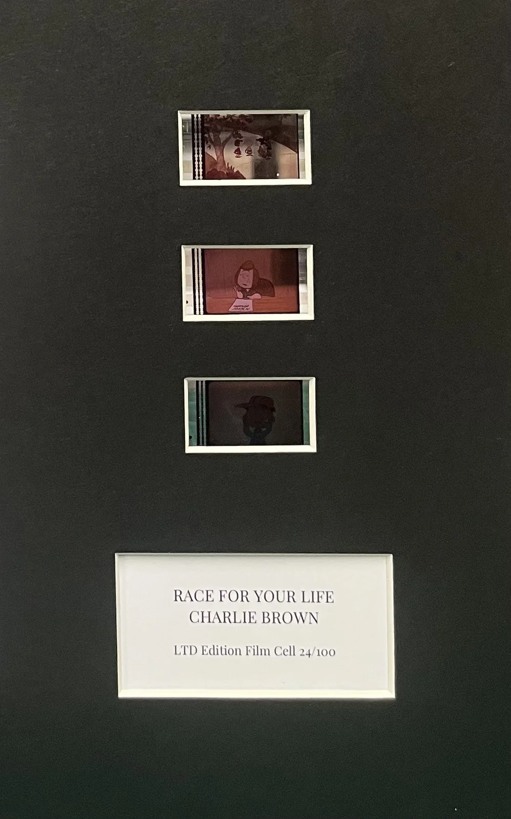 A RACE FOR YOUR LIFE. Charlie Brown . 35mm Film Cell Mounted Display, изображение 3