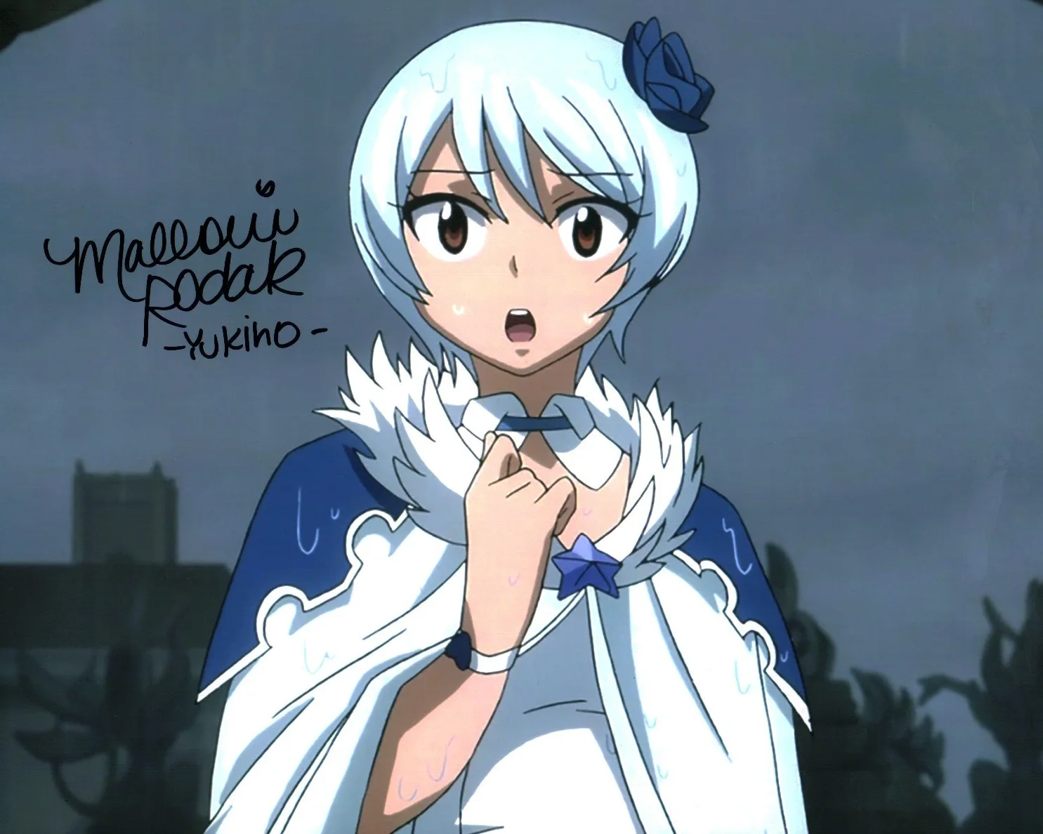 Mallorie Rodak — Mallorie Rodak Fairy Tail 8x10 Signed Photo JSA Certified Autograph